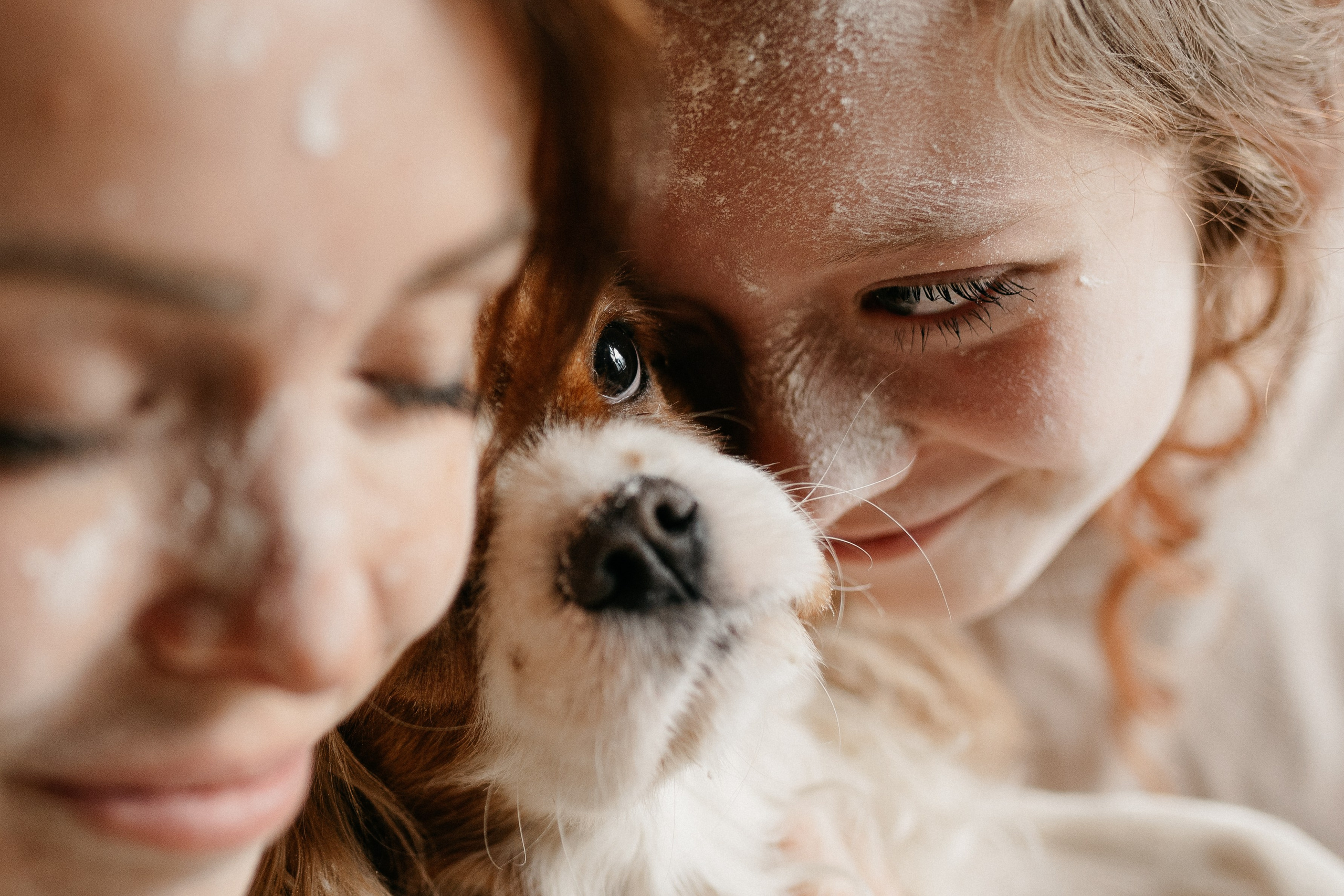 Даша, Диана, Дебби и маленькая крыска. Фотограф анималист в Москве Ольга Агушева