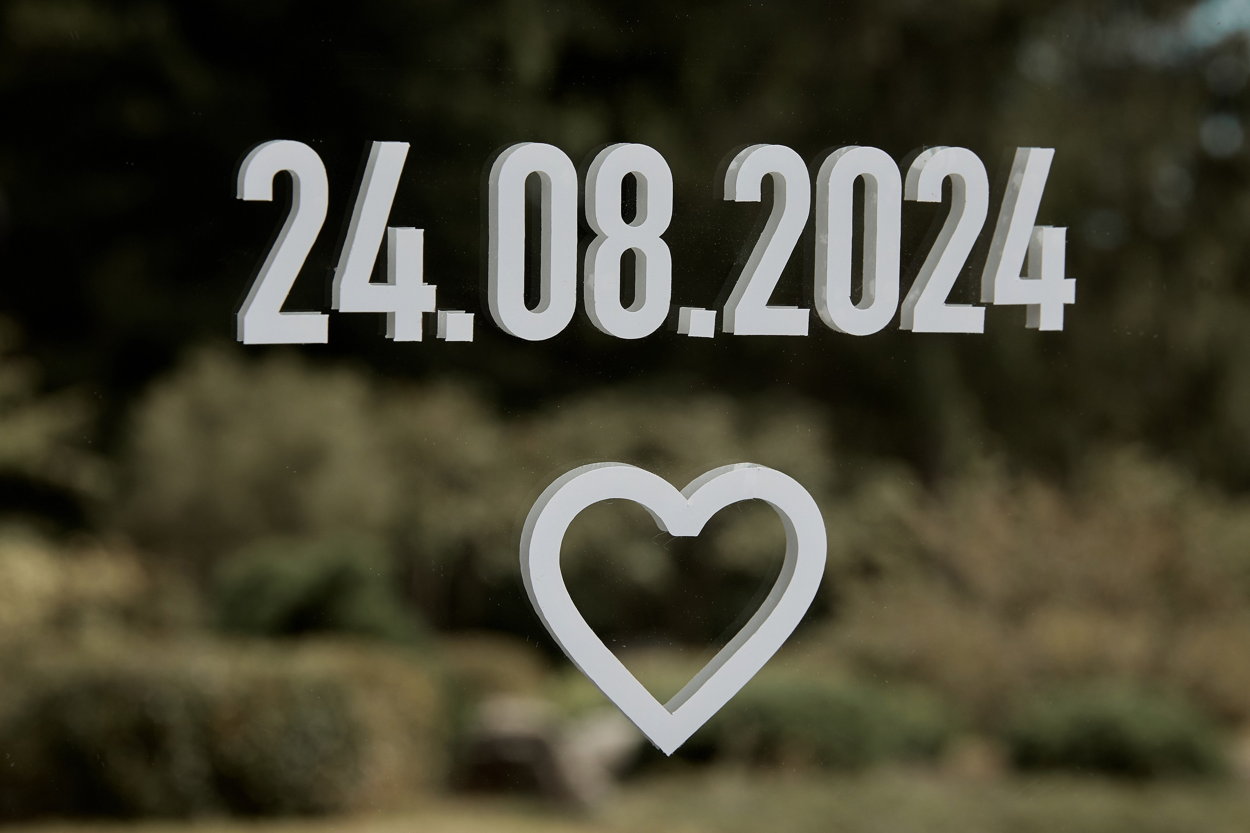 Алина и Сергей. Свадебный фотограф Москва Калуга