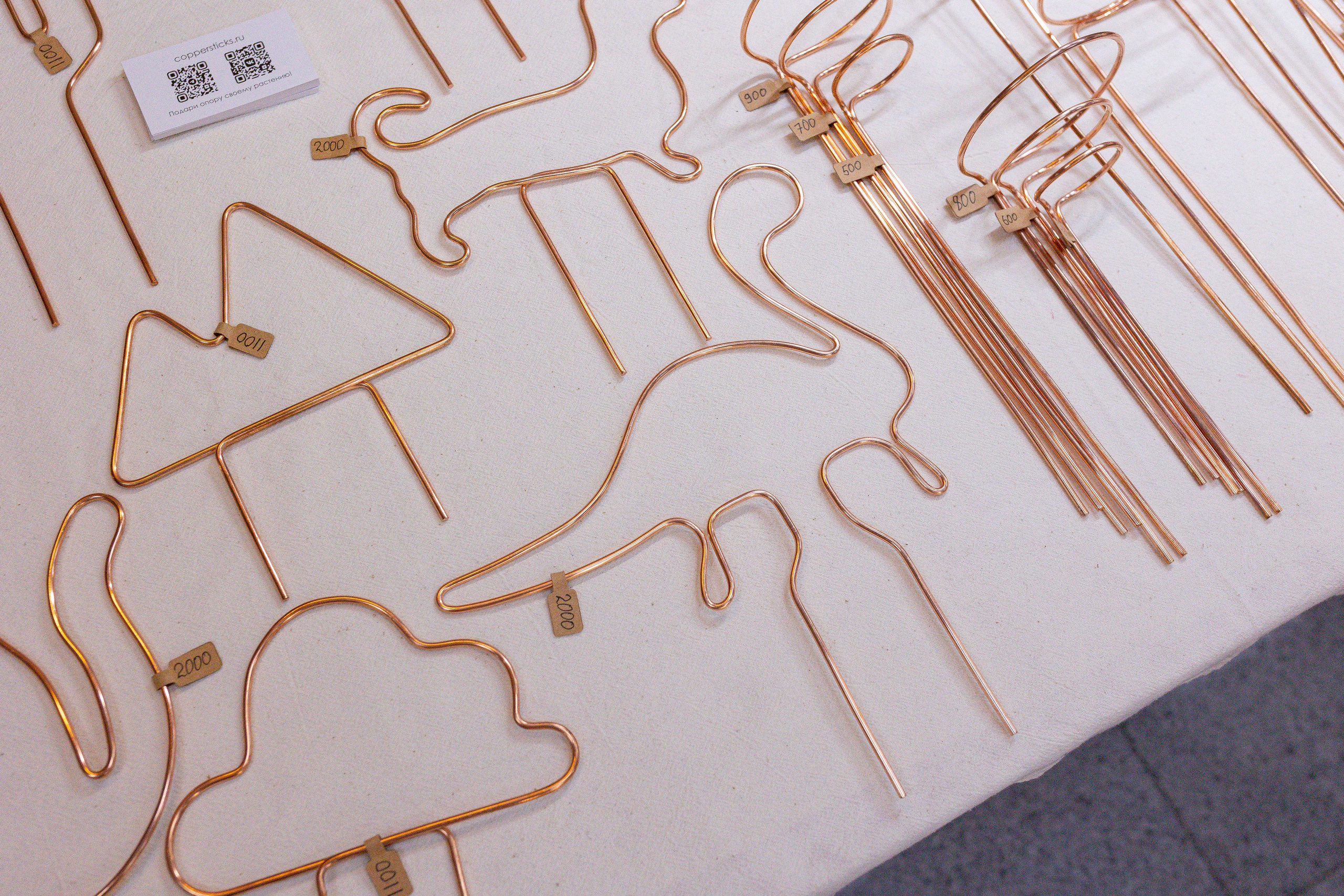 Орхидиум 12.2025. Александра Куликова фотограф, Москва