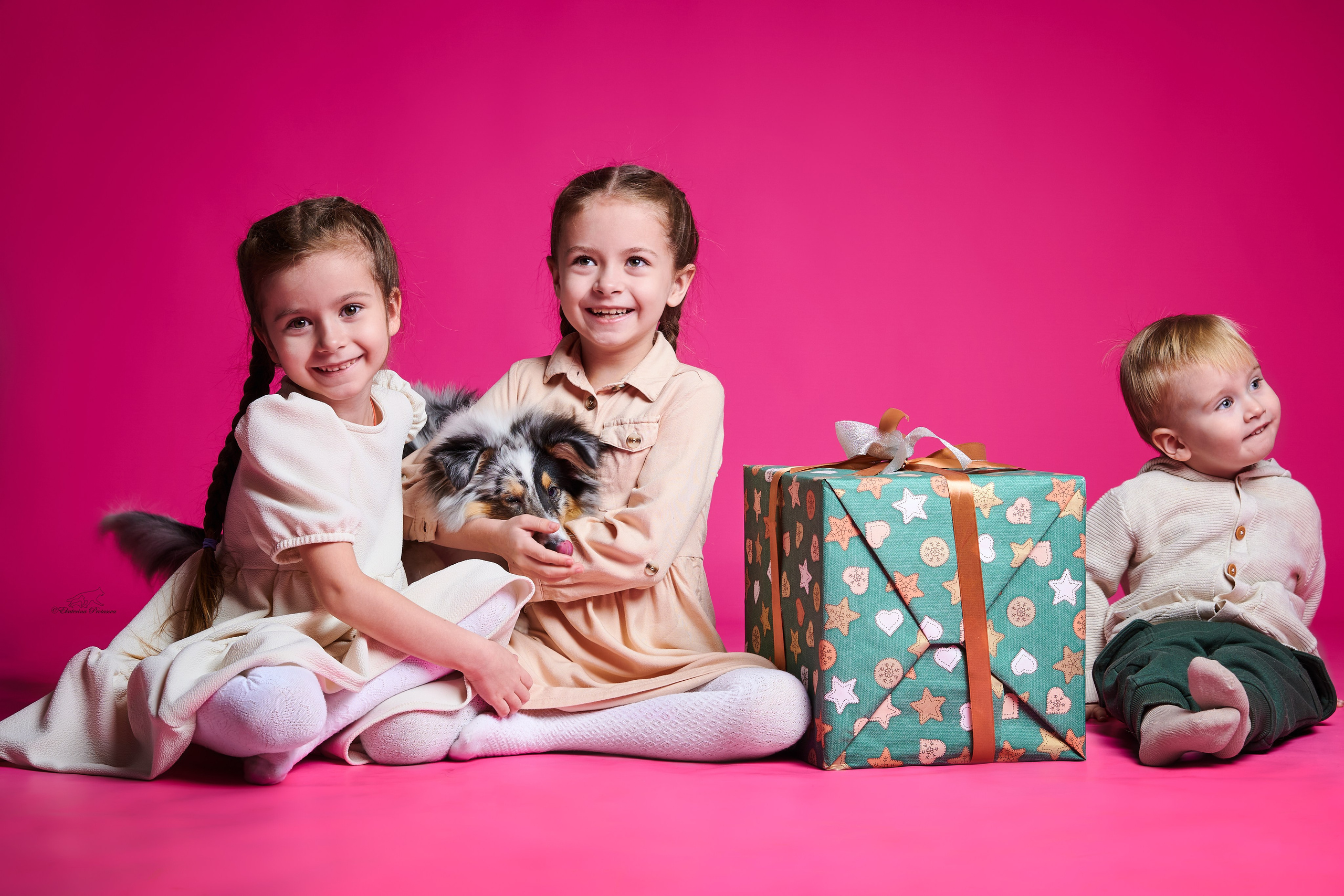 Джек и его семья. Фотограф-анималист в Иркутске