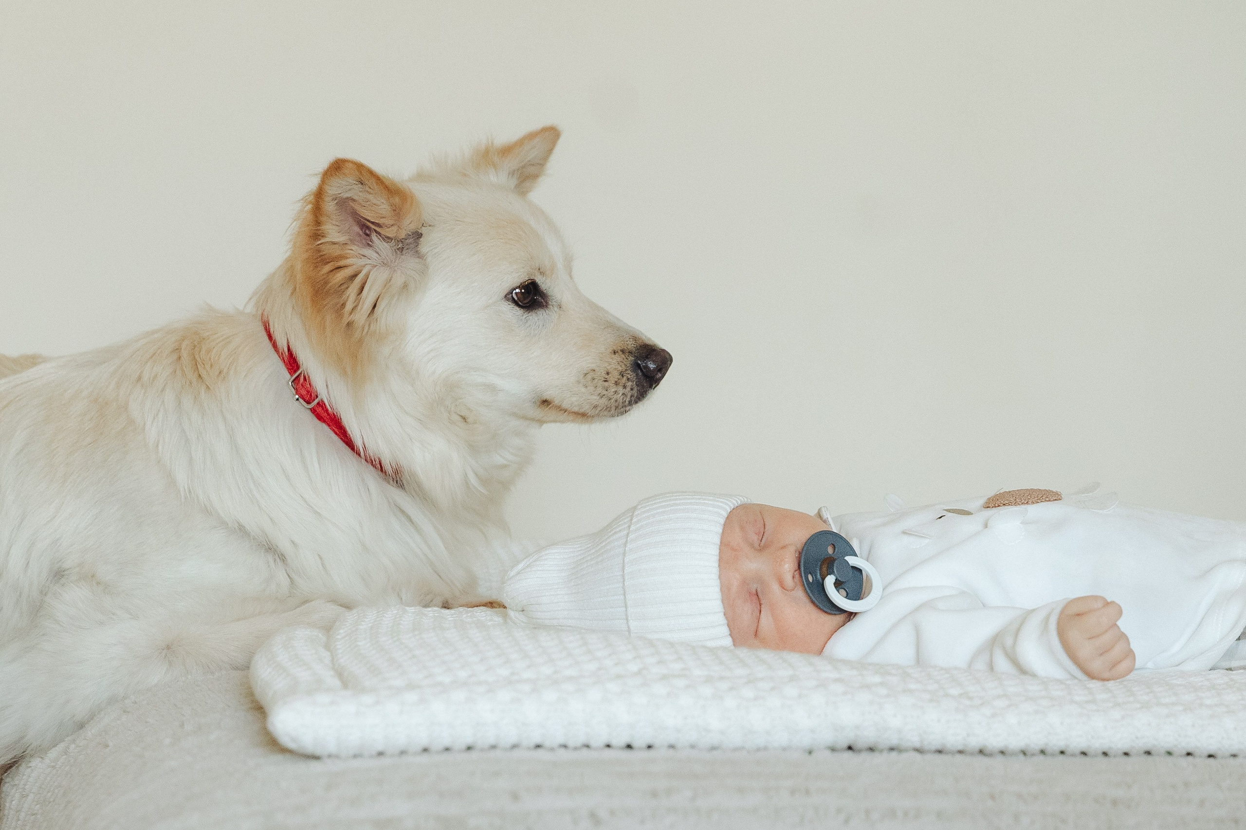 Ефимия, Евгений и Лука. Фотограф в Москве и МО Елизавета Якубенко