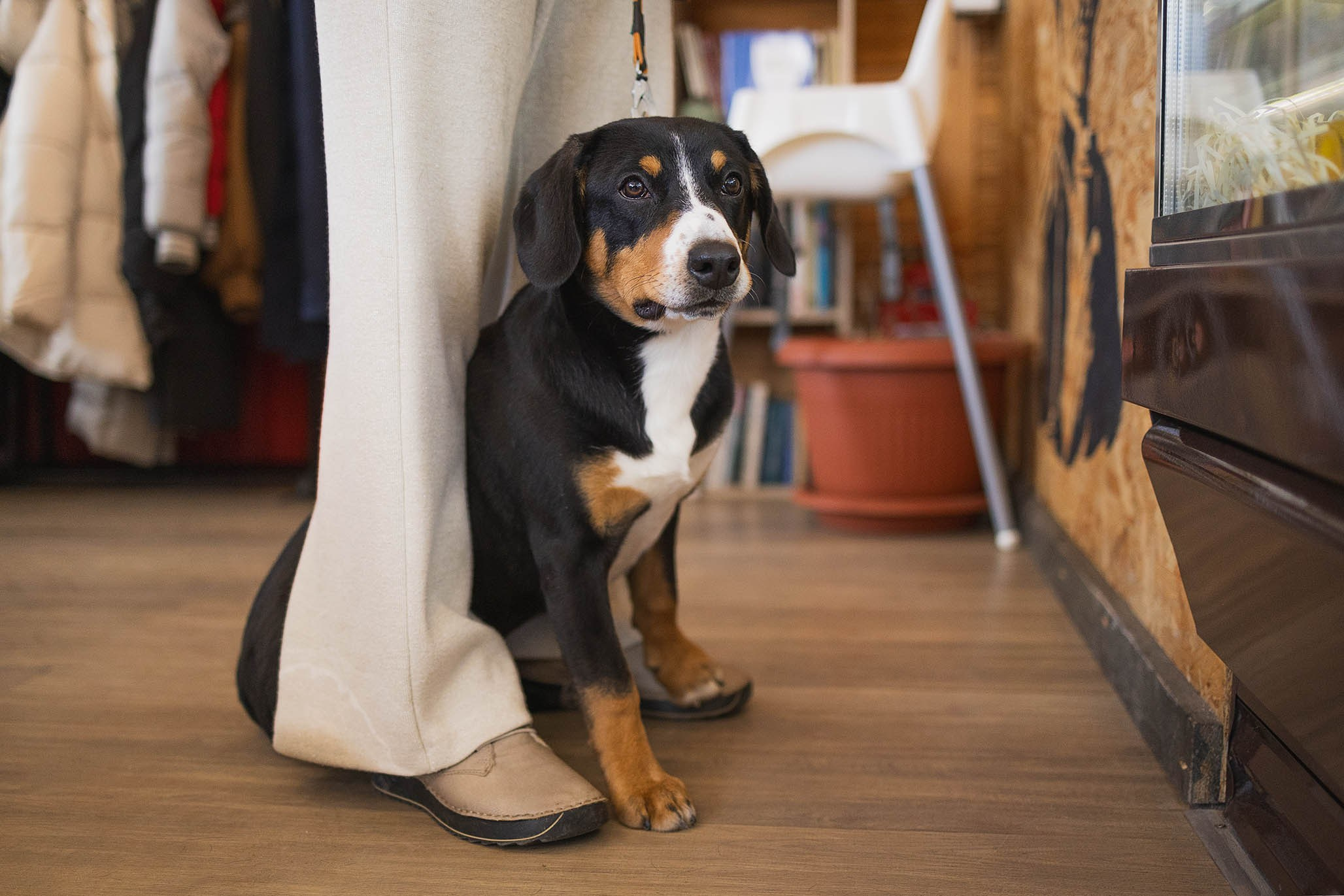 Кафе. Фотограф-анималист Александра Шеремет