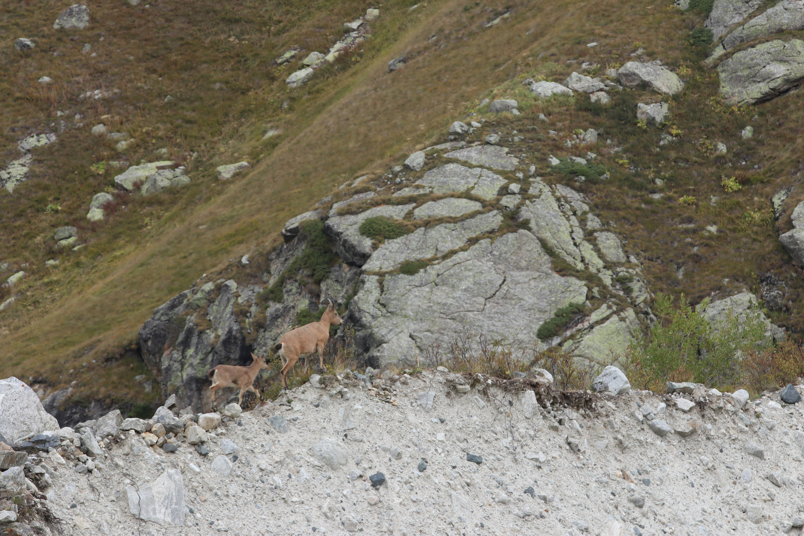 Приэльбрусье. Сентябрь 2023. Путешественник-фотограф из Санкт-Петербурга Татьяна Свистулина