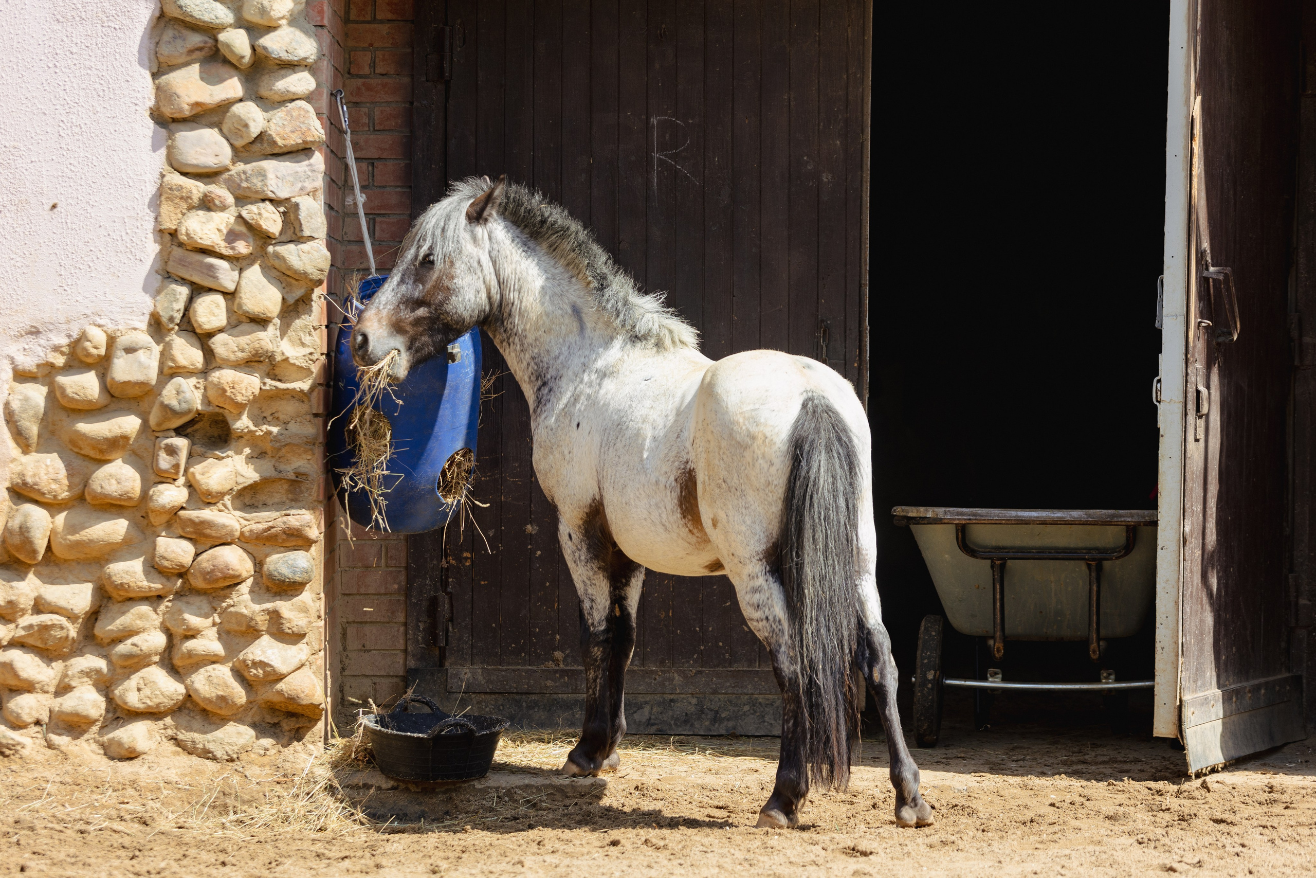 Московский зоопарк. Photographer Sonkina Tatiana (Tanya Ash)