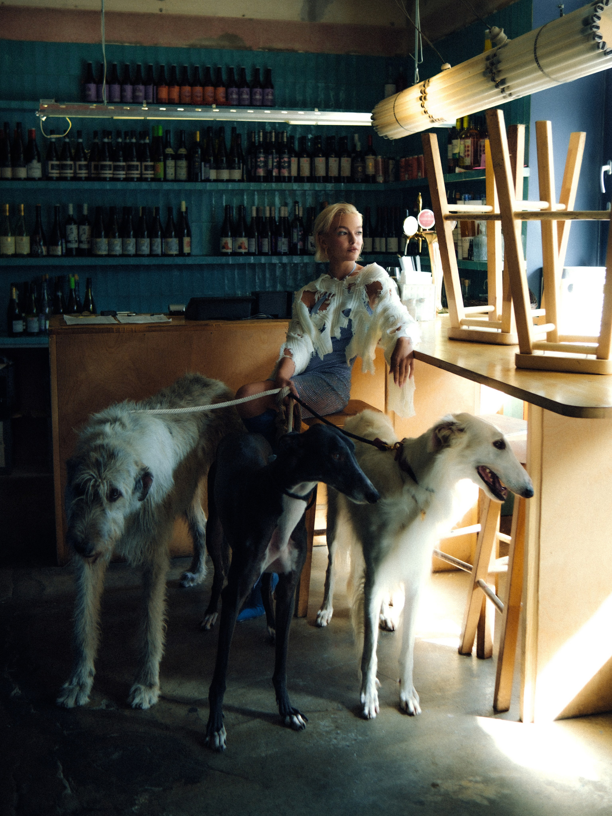 Dogbar. Dariaegudina.ru