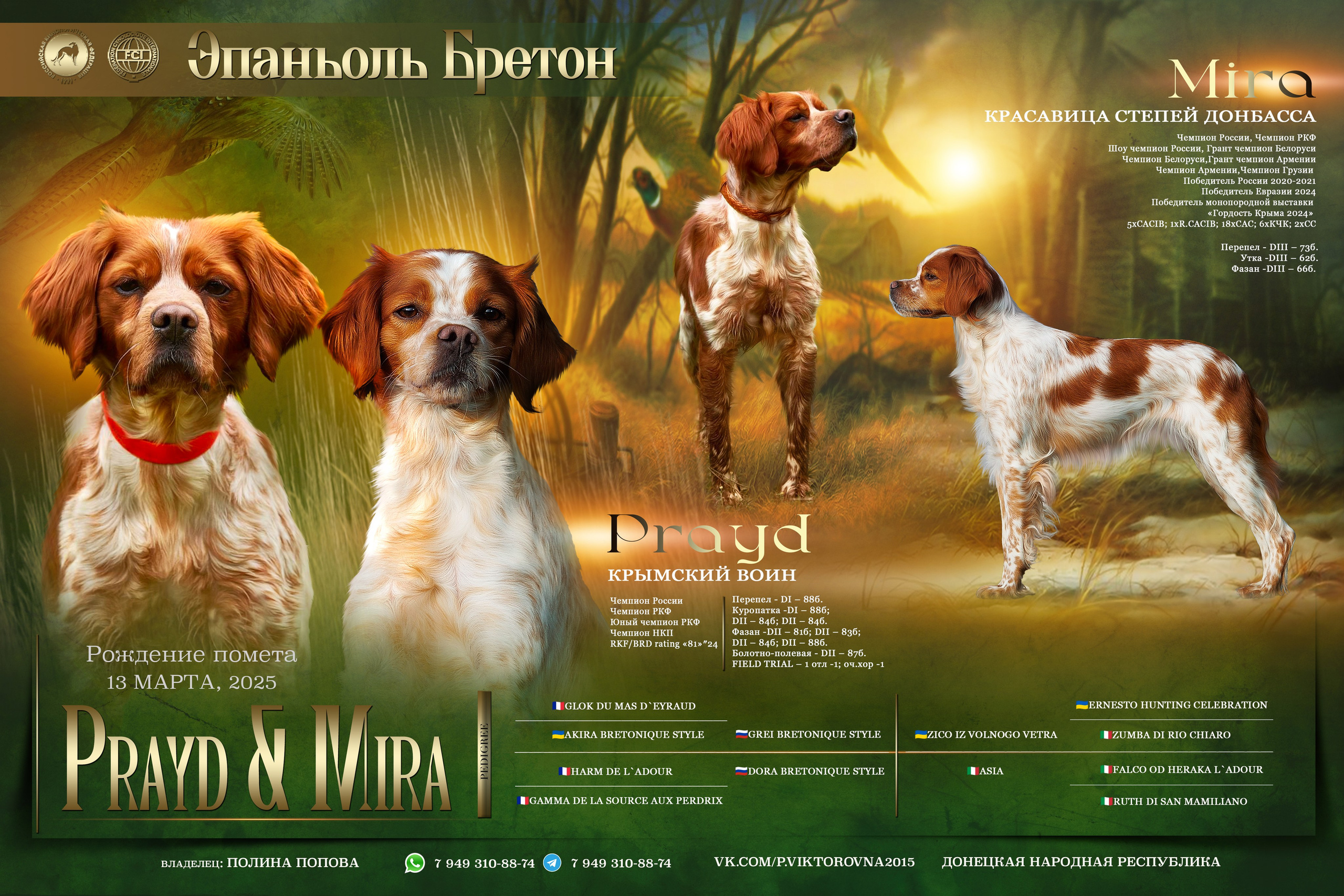 Презентация. Фотограф