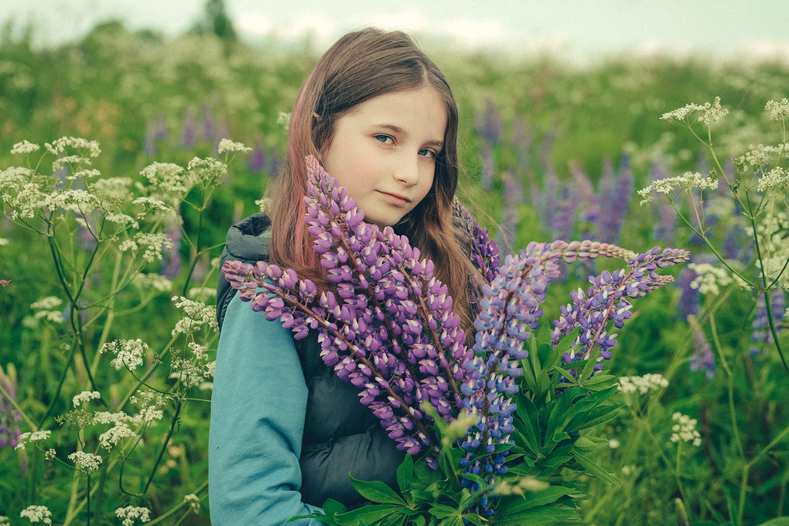 Люпиновое поле. Портретный фотограф в Санкт-Петербурге Дария Сыч