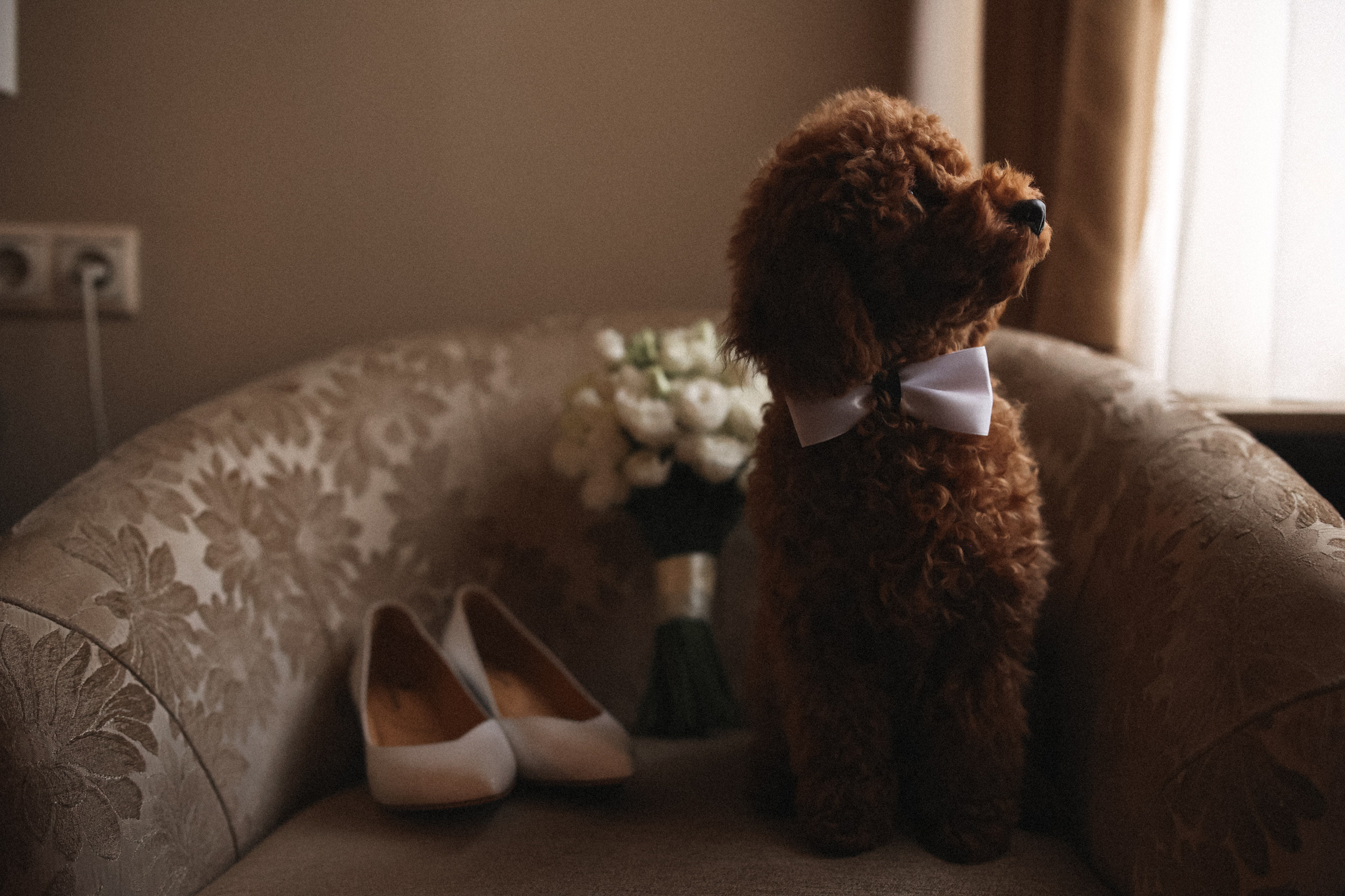 Герц. Свадебный фотограф в Ярославле Илья Жуков