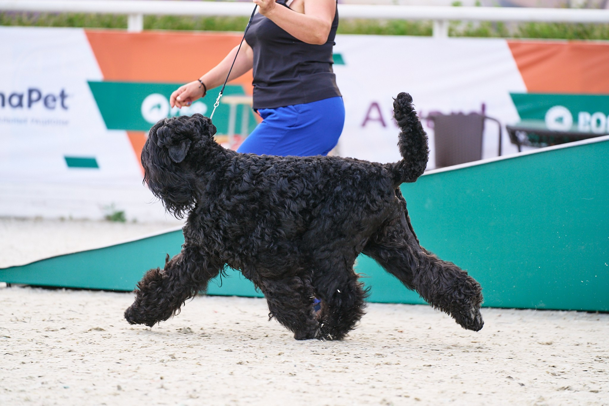 09.06.2024, «РОССИЯ. КУБОК МОСКВЫ 2024 & КУБОК ГОРОДОВ-ГЕРОЕВ»