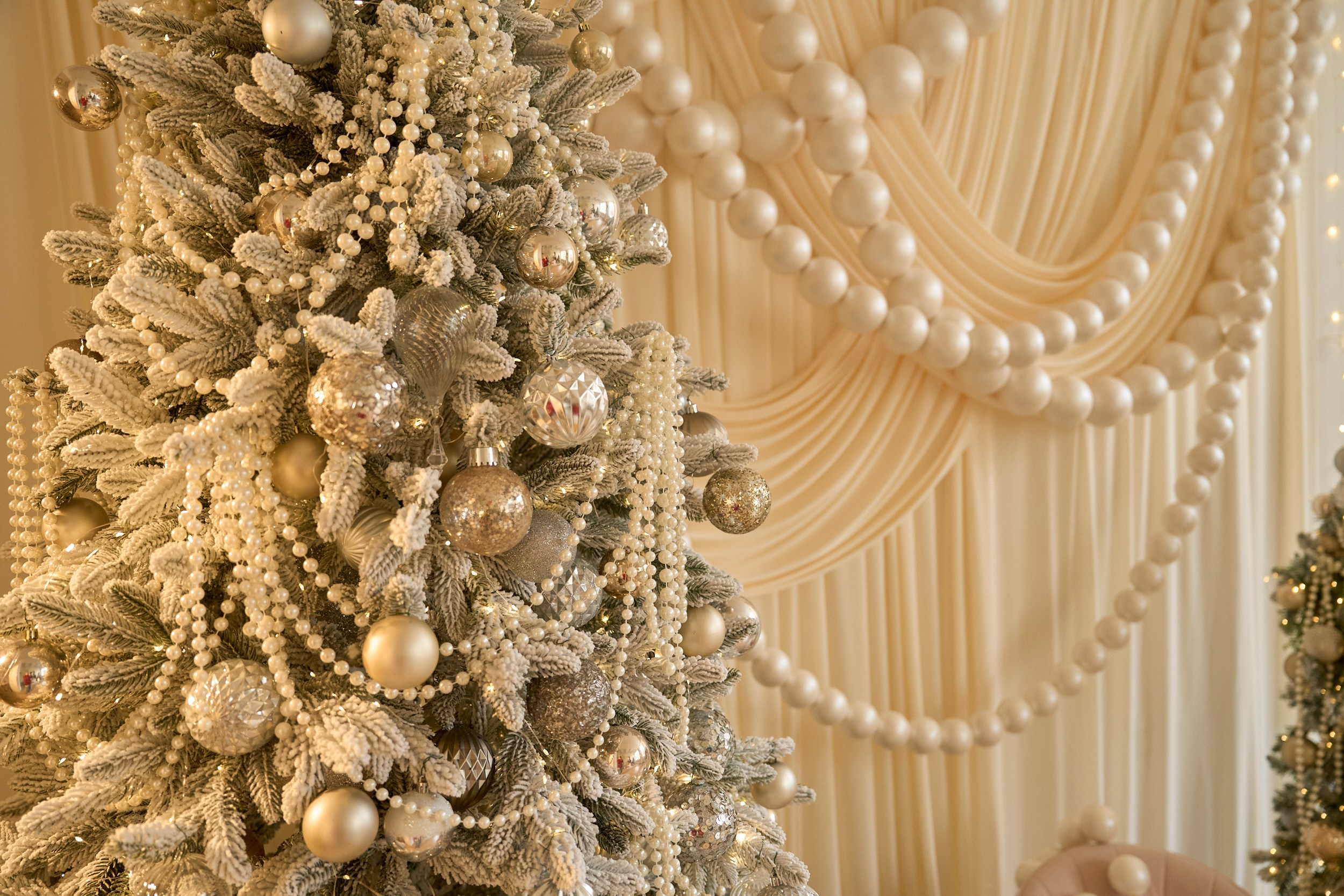 Париж (Paris). Фотограф г. Хабаровск. Семейные и индивидуальные съёмки