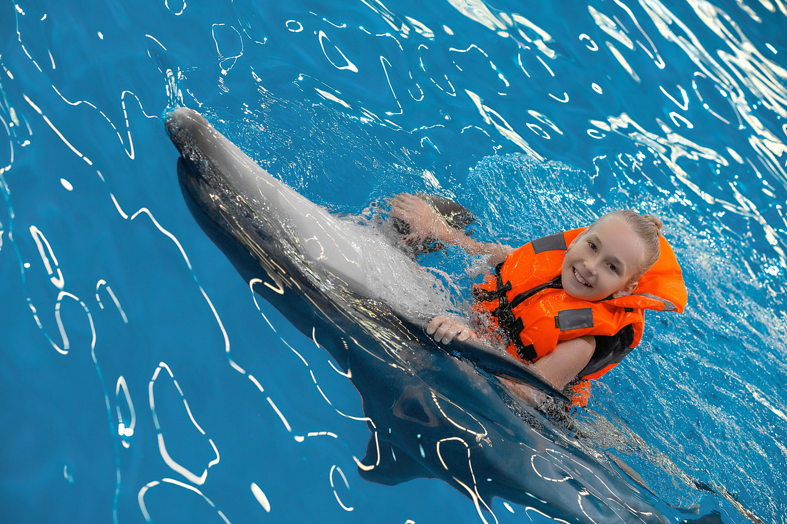 Арина и дельфины. Фотосессия с лошадьми в Нижнем Новгороде