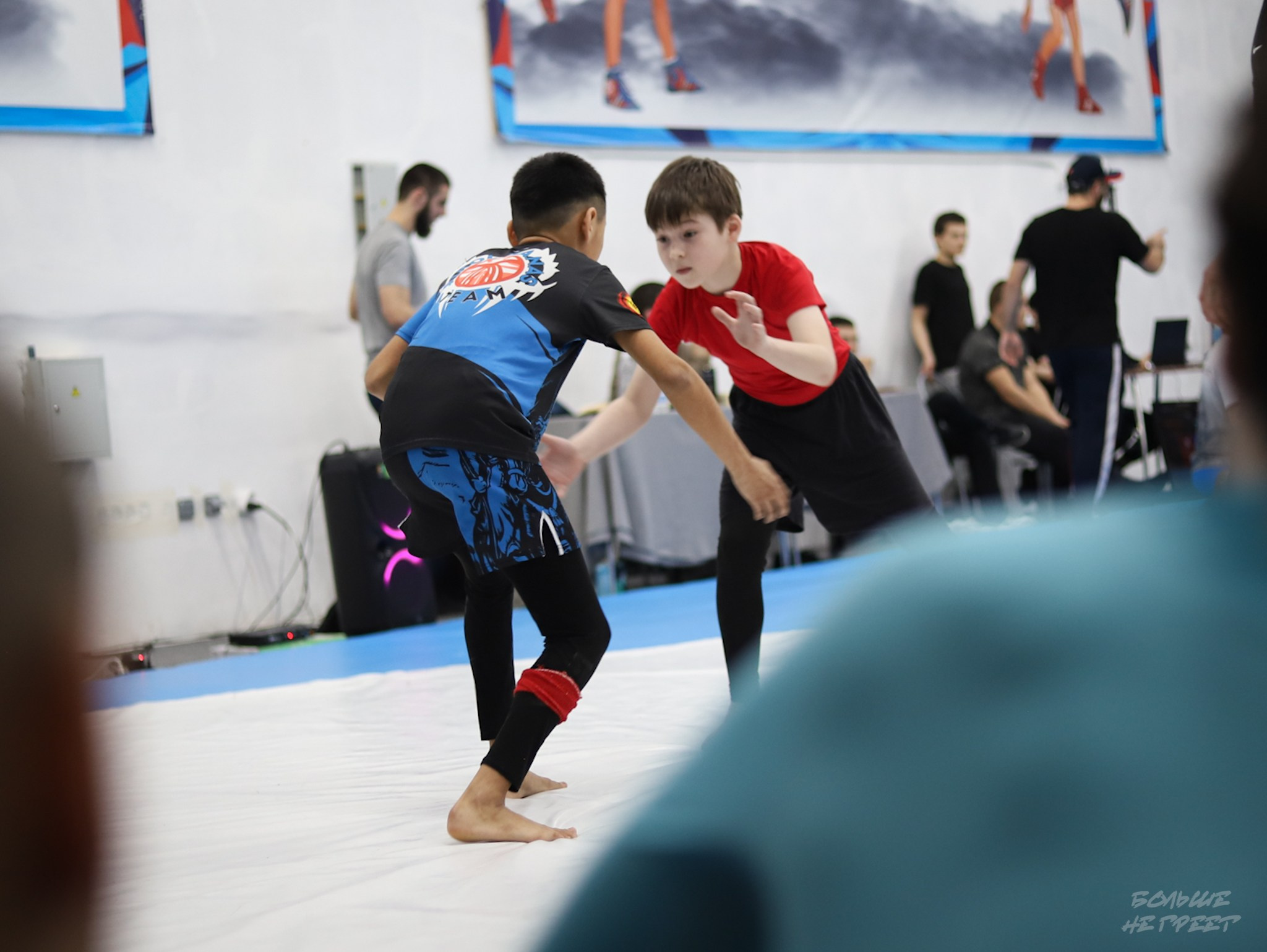 GORILLA PRIDE CUP. Больше не греет