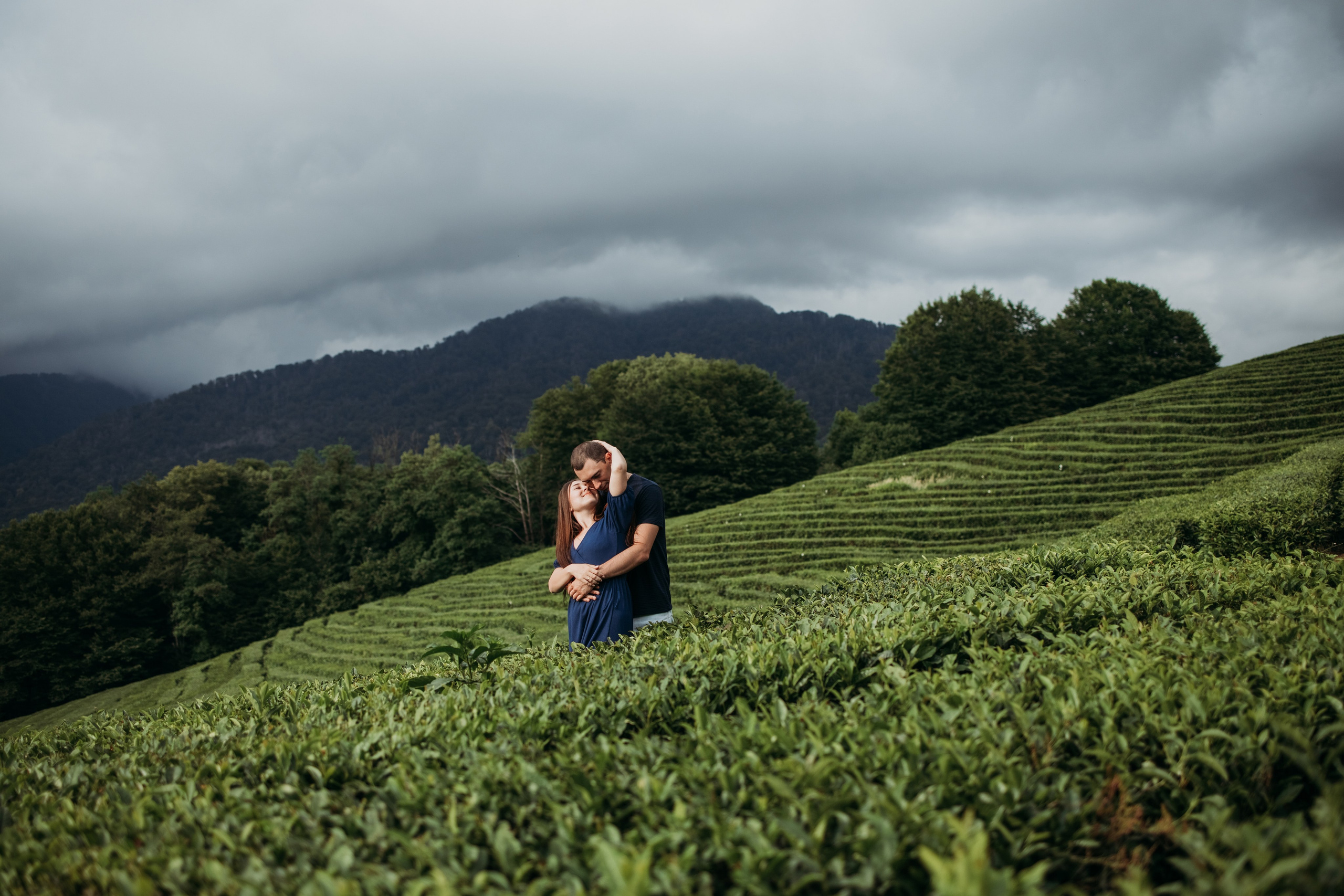 Чайные плантации мацеста. Фотограф Сочи Татьяна Зорина