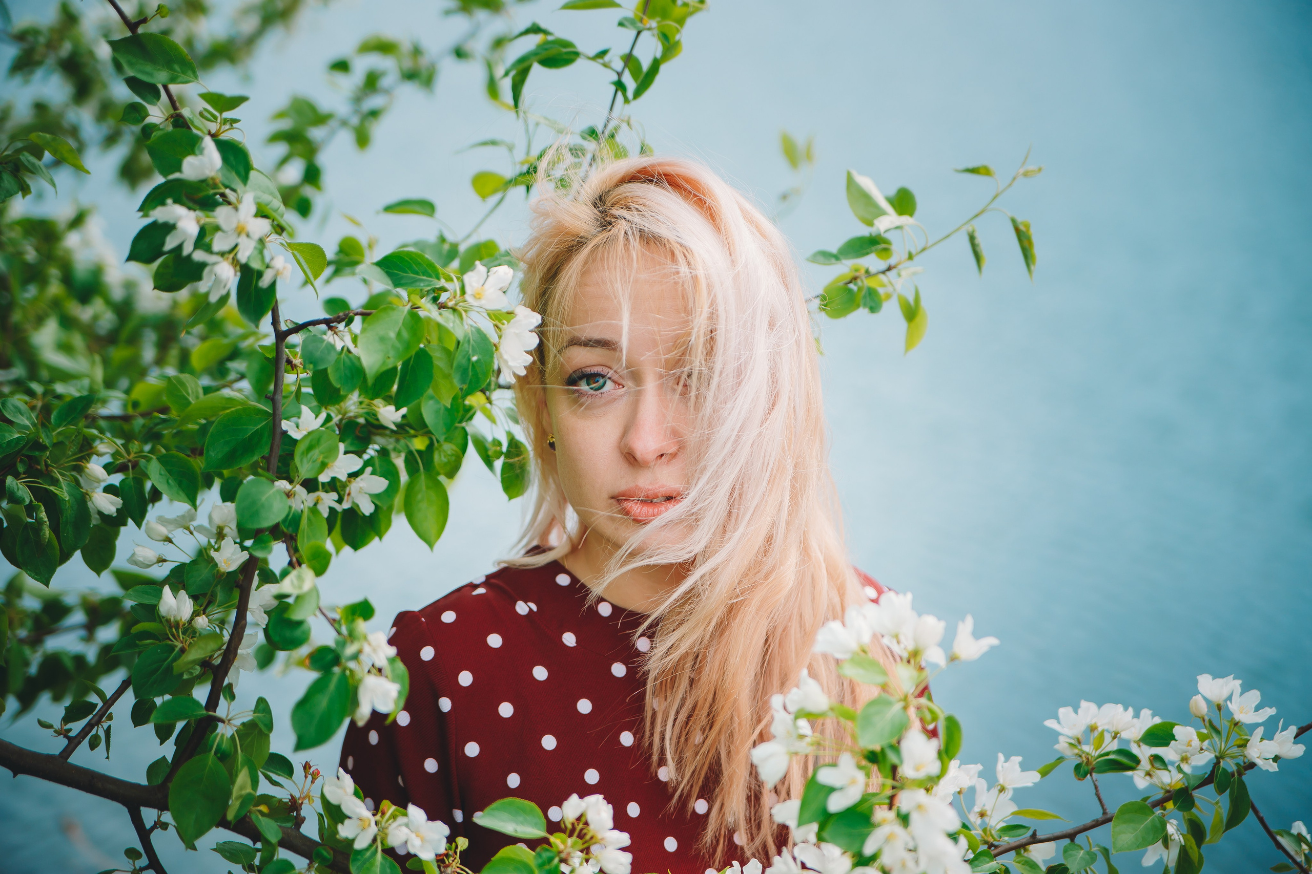 Яблони. Фотограф в Абакане Николай Окунев