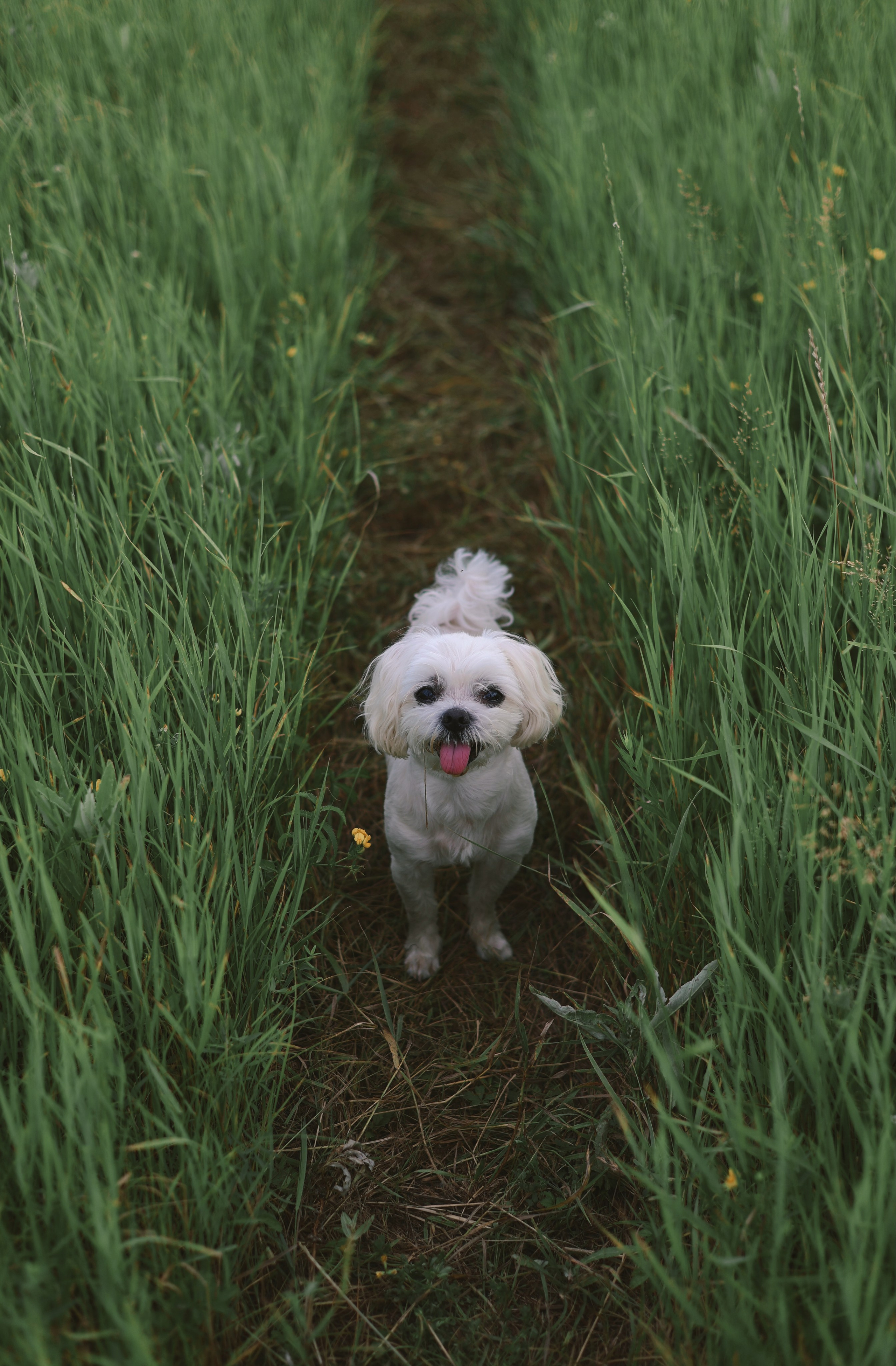 Highlights. Фотограф Майя Иванова