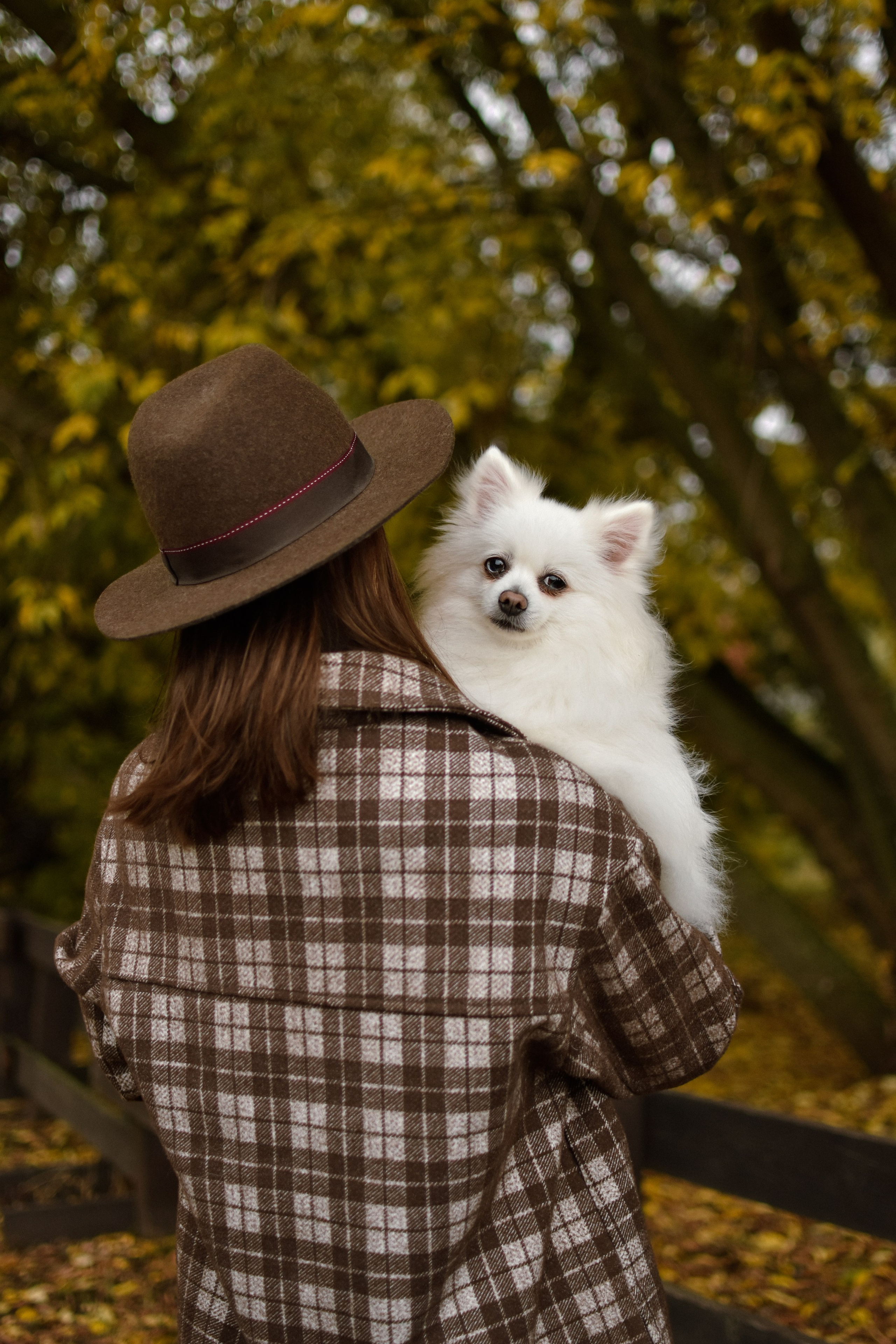 Анабель и Саша. Фотограф-анималист Ксения Шевцова|Москва