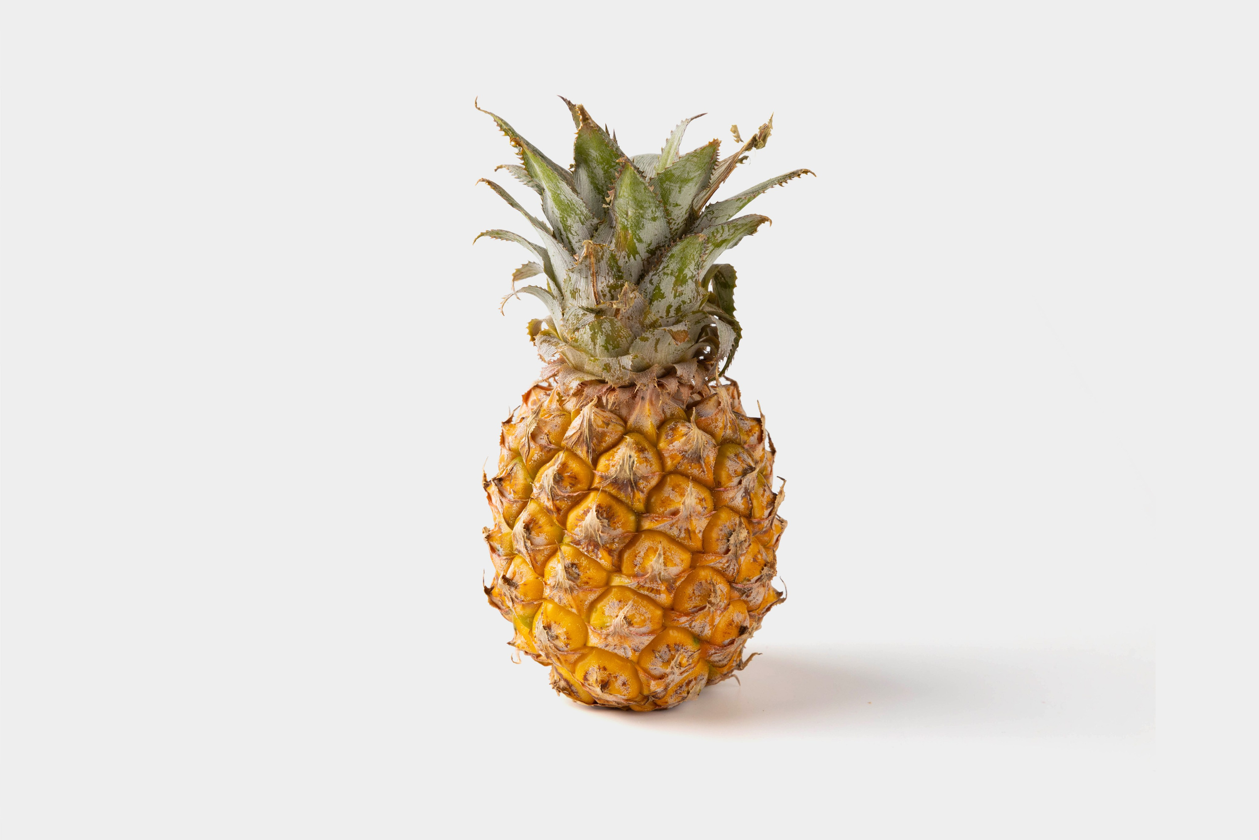 Каталожное фото для Вкус Вилла. Фуд и предметный фотограф для вашего бизнеса