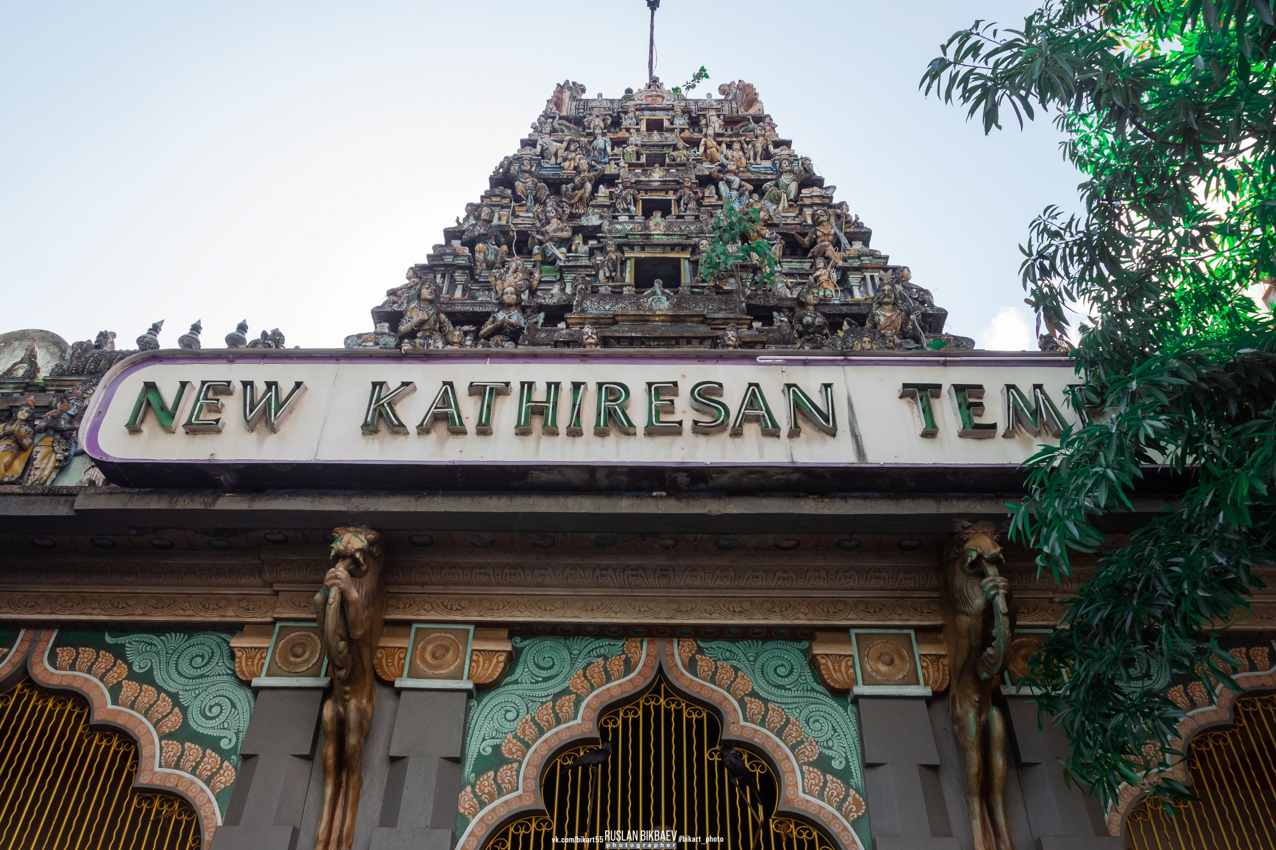 ШРИ-ЛАНКА 2025 / SRI LANKA 2025. Главная