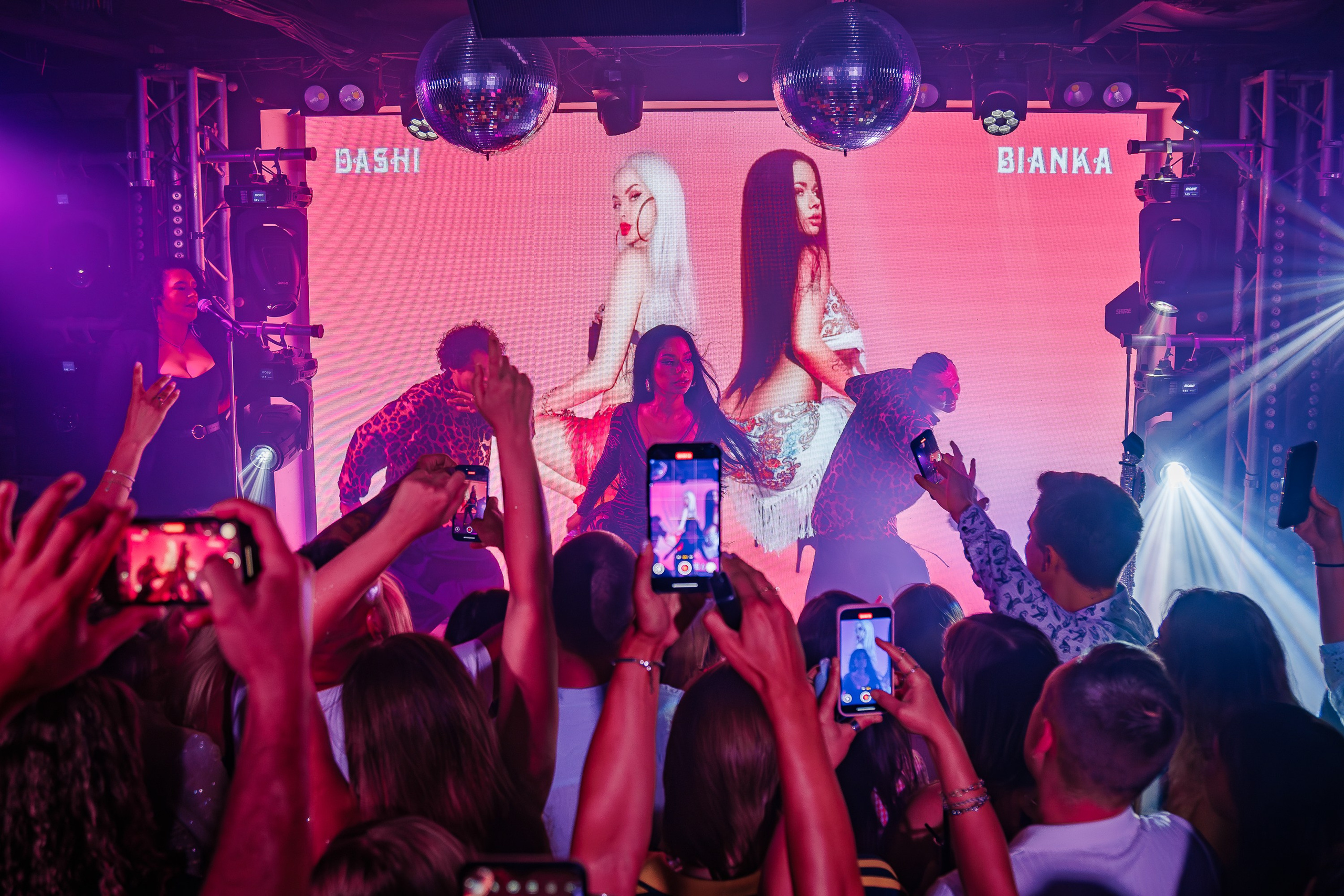 «Бьянка"_Чайка на пляже_Ялта_25.07.2025 г. Аминов Руслан | Фотограф