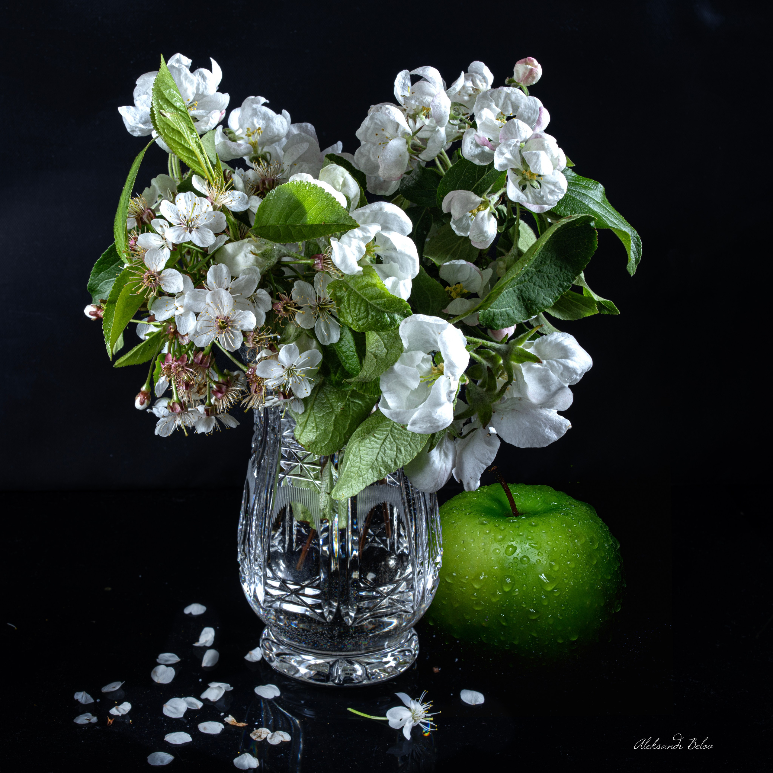 Натюрморт. Пейзажный и семейный фотограф в Санкт-Петербурге Александр Белов