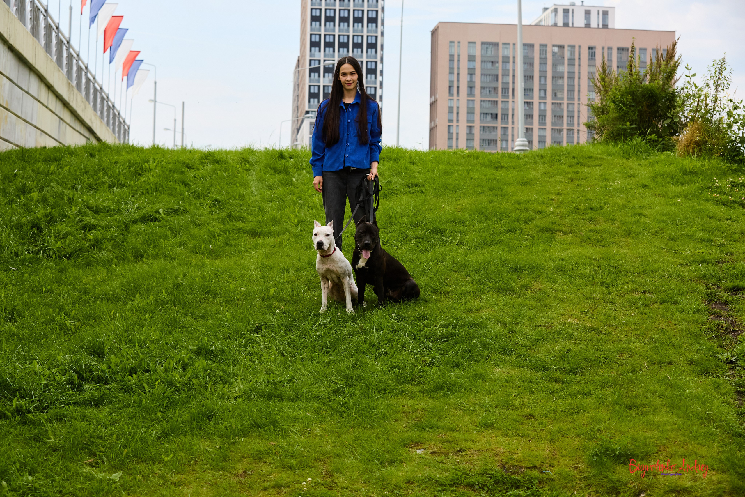 Проект фотопрогулка с хвостиком. Buyvolenko Andrey