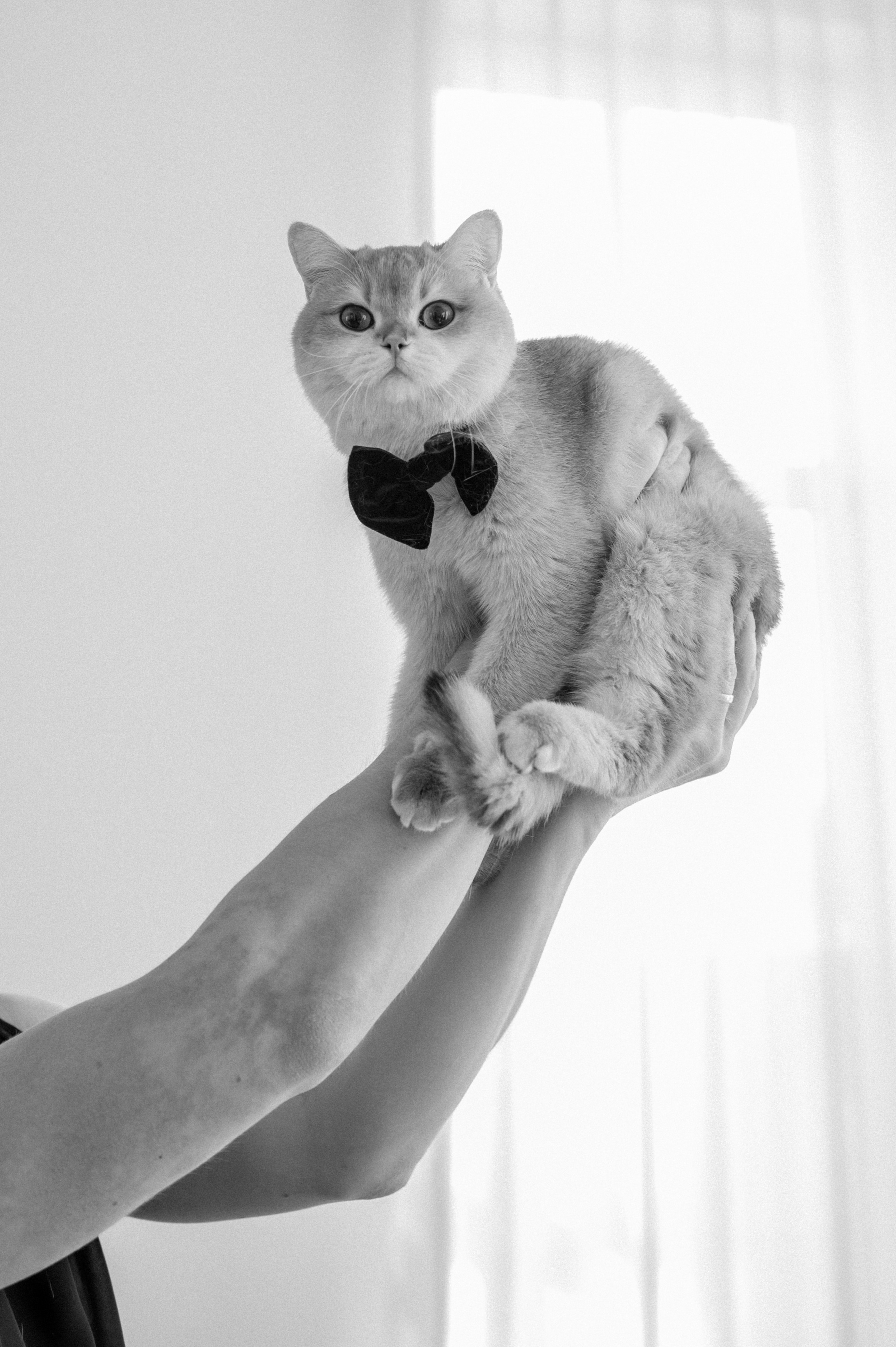 Женя Алиса и Синчао. Свадебный Фотограф Челябинск Уфа Егорова Анастасия