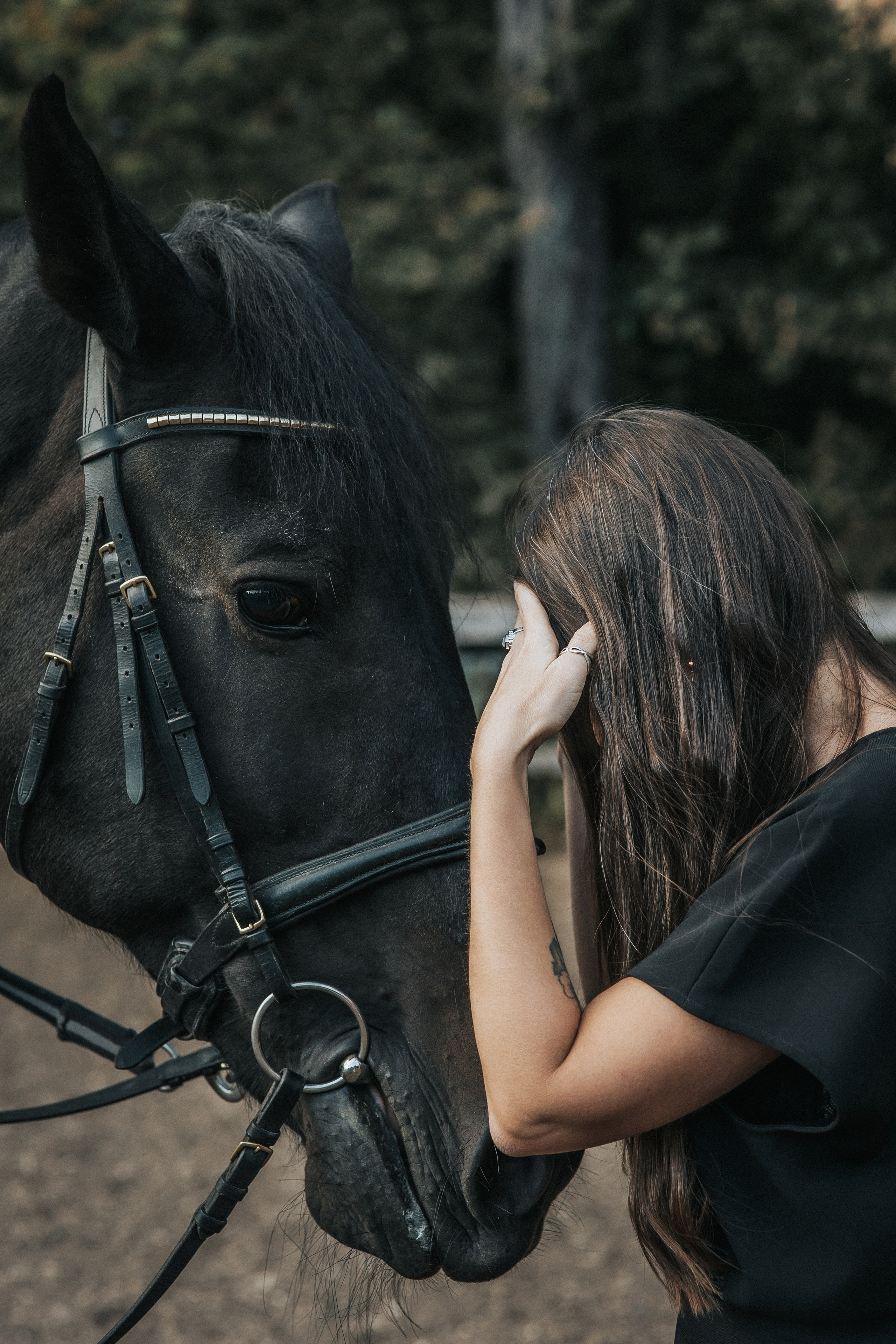 Большая семья и черный конь Султан. Семейный фотограф в Москве Наталья Чуб, заказать Фотокнигу