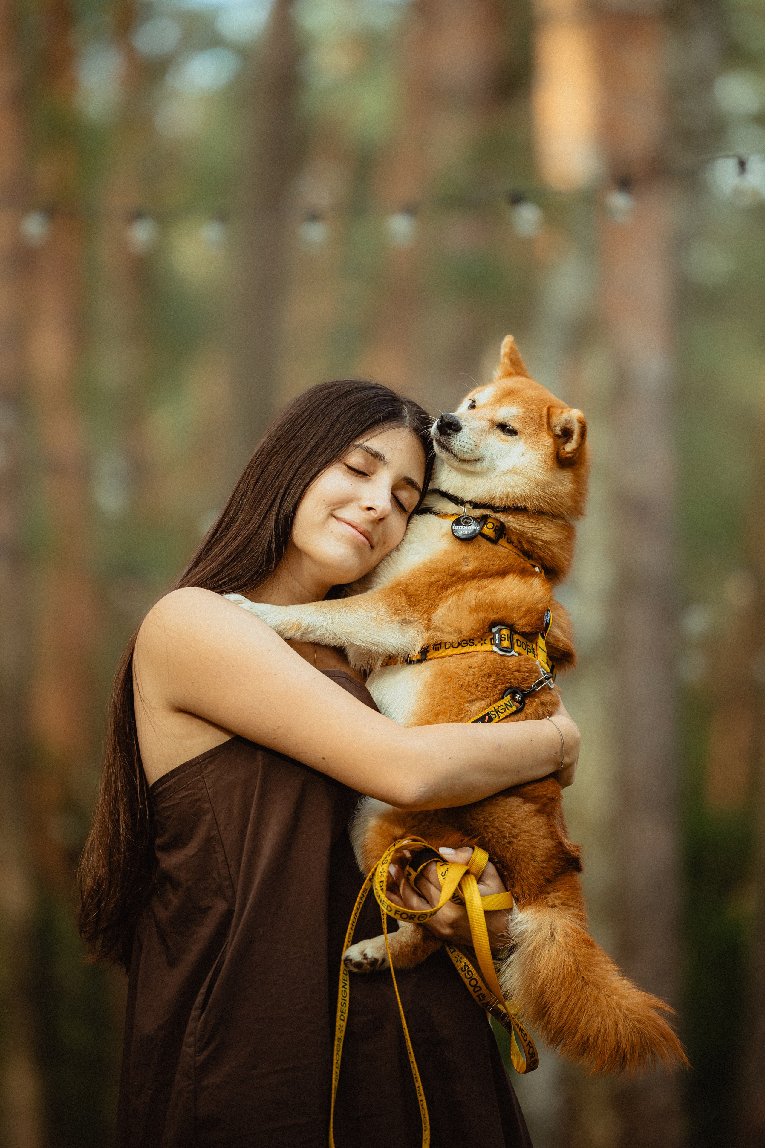 Выездной дог-тренинг от школы «Шерсть имею»