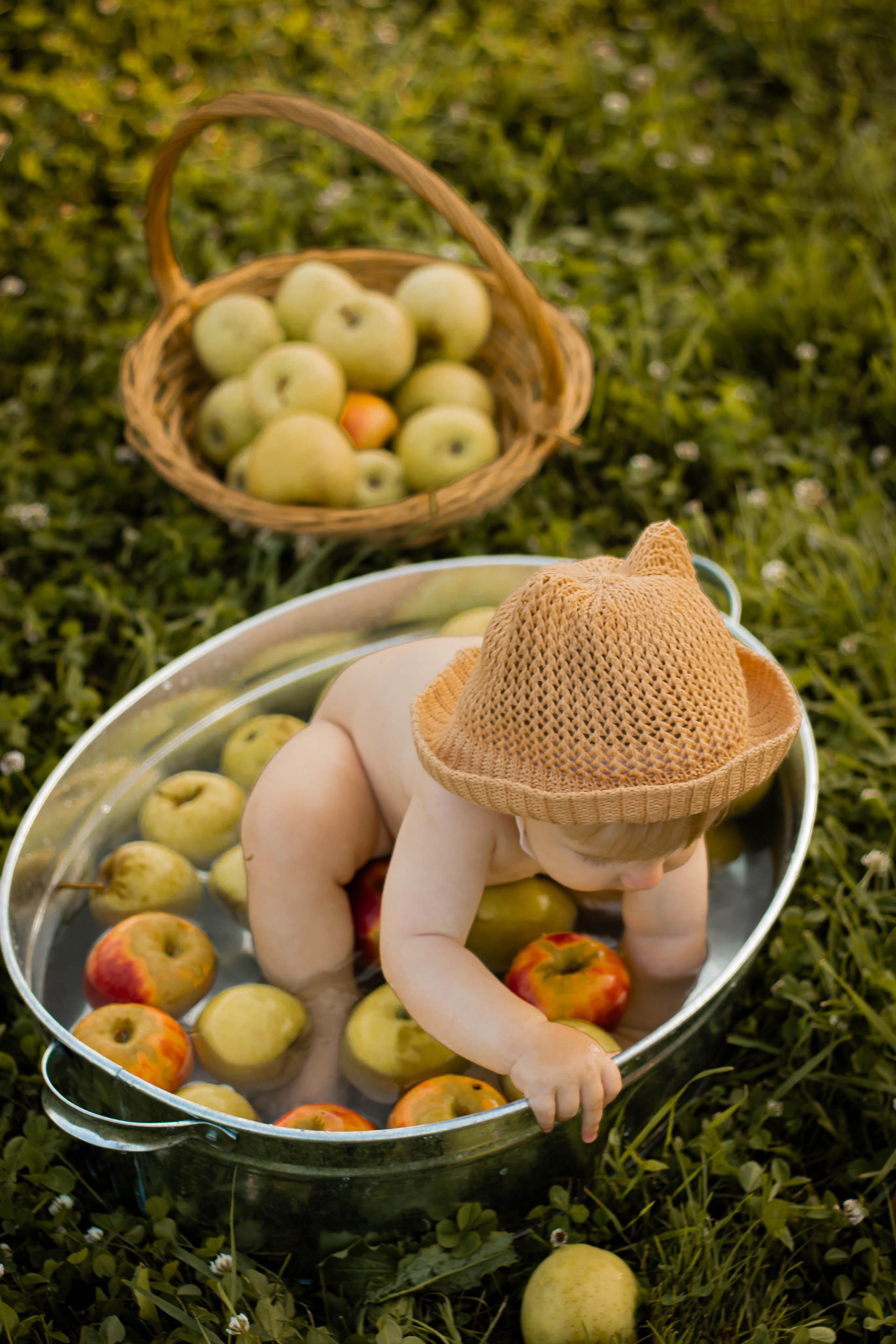 Яблочный рай. Семейный и детский фотограф в Павловском Посаде Сарапкина Наталья