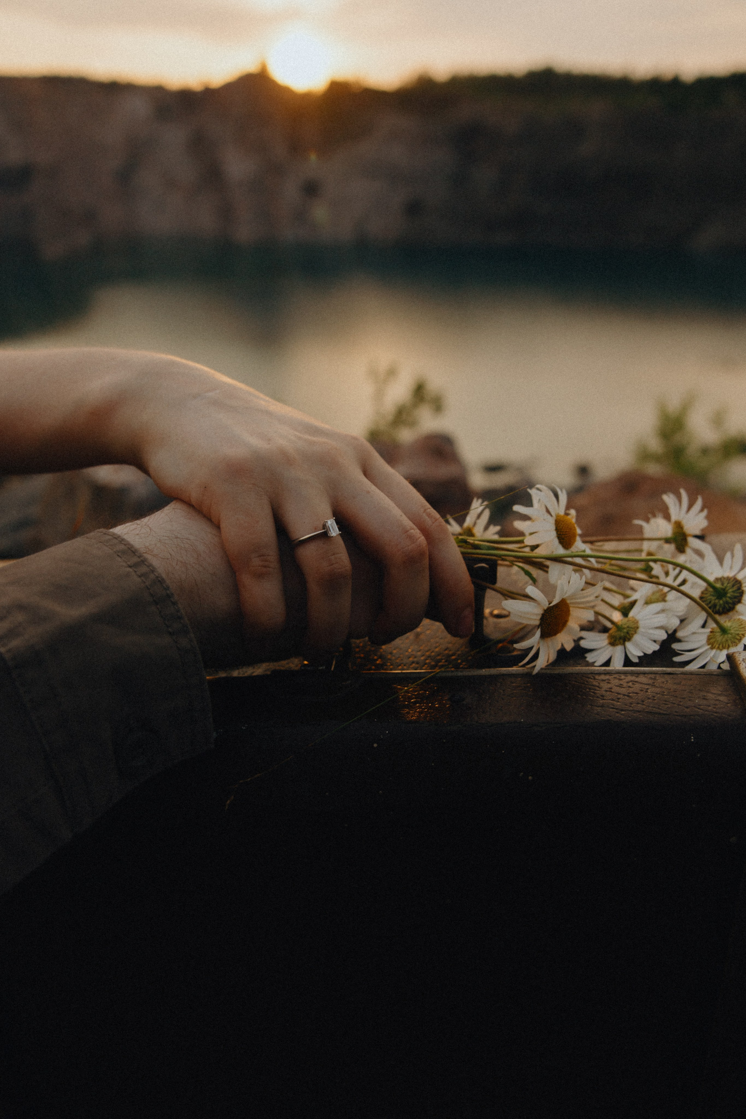 Fearless cats. Wed Photographers 📷 Saint Petersburg