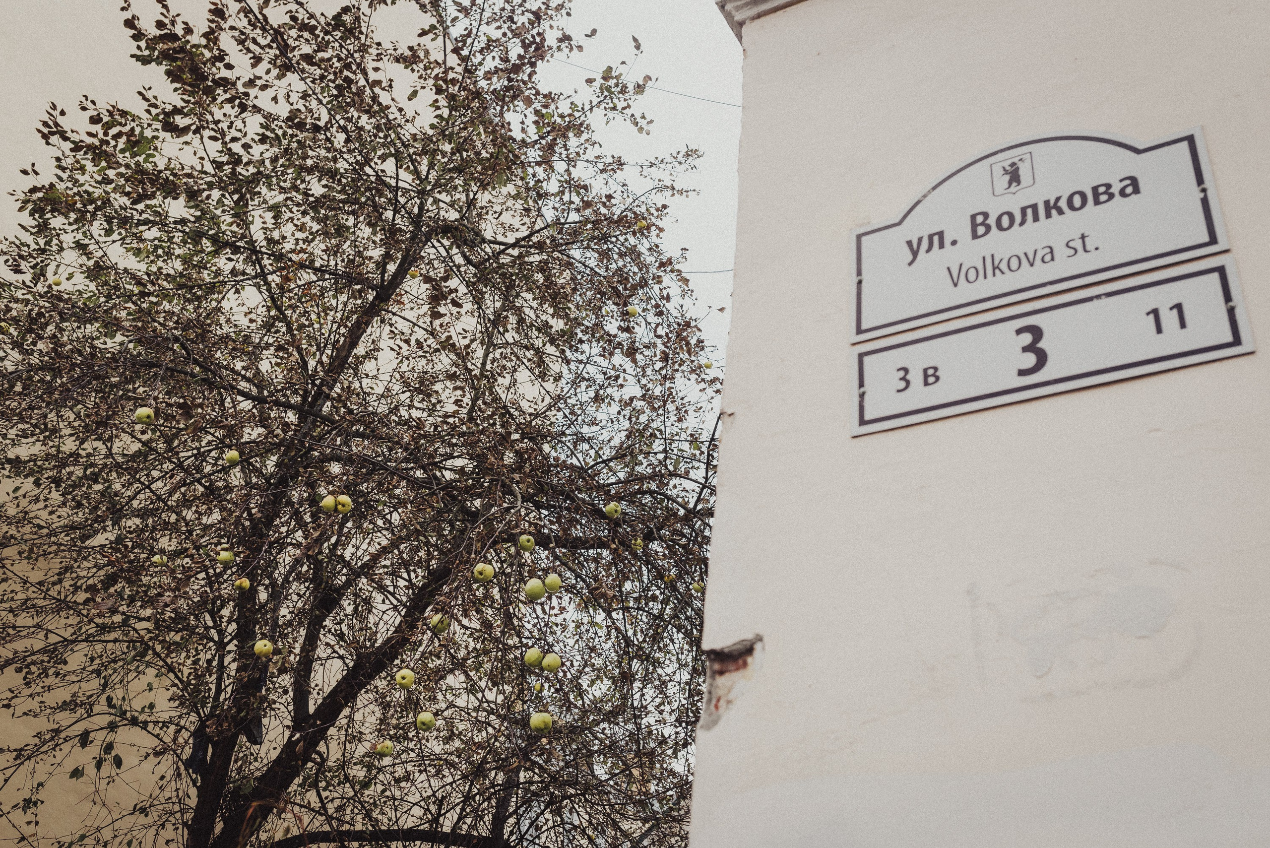 Проект #улицыгорода. Ярославль, улица Волкова. Документальный фотограф Илья Тихановский