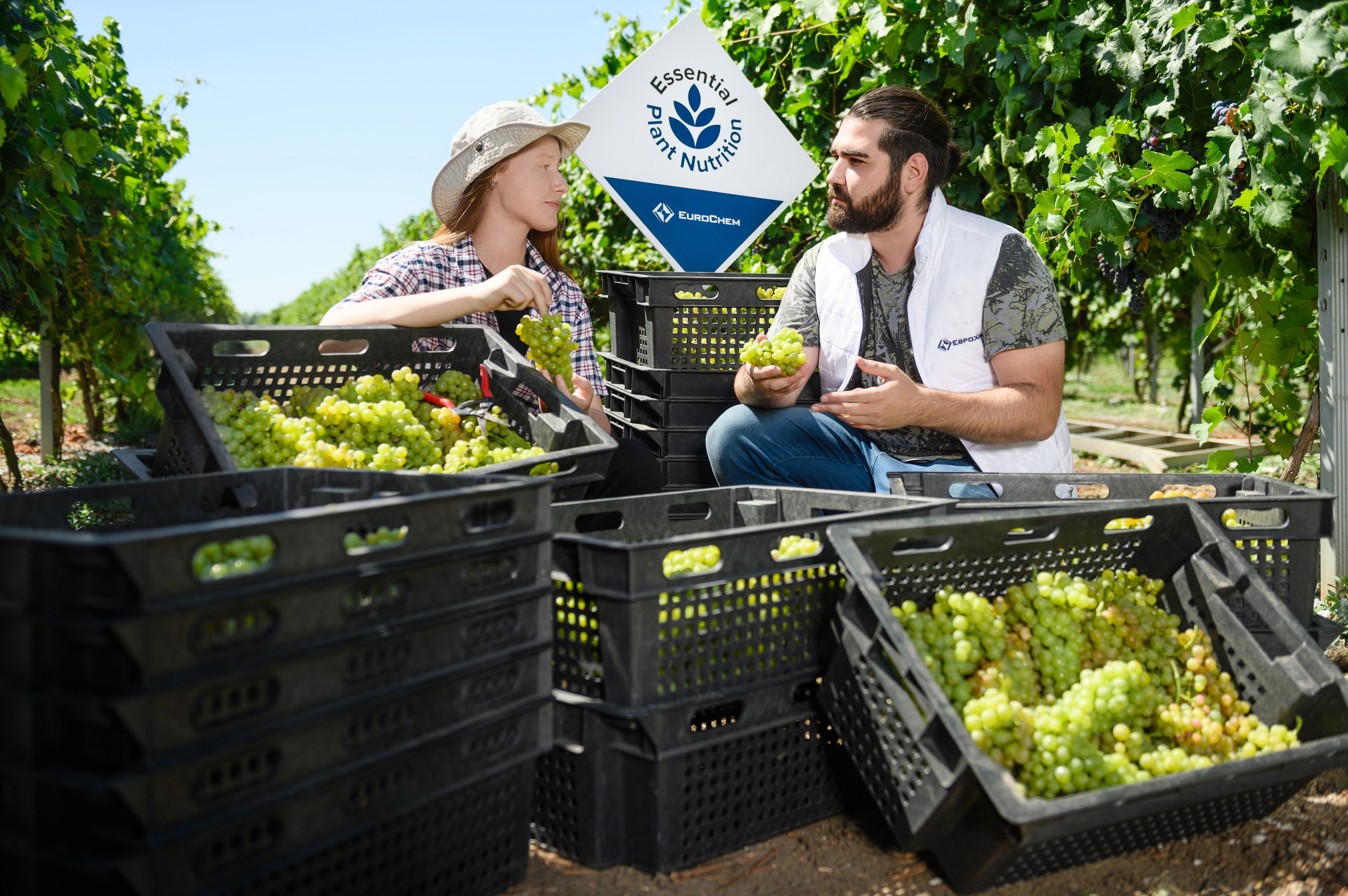 Проекты. Профессиональный фотограф Вячеслав Плацында | Липецк |