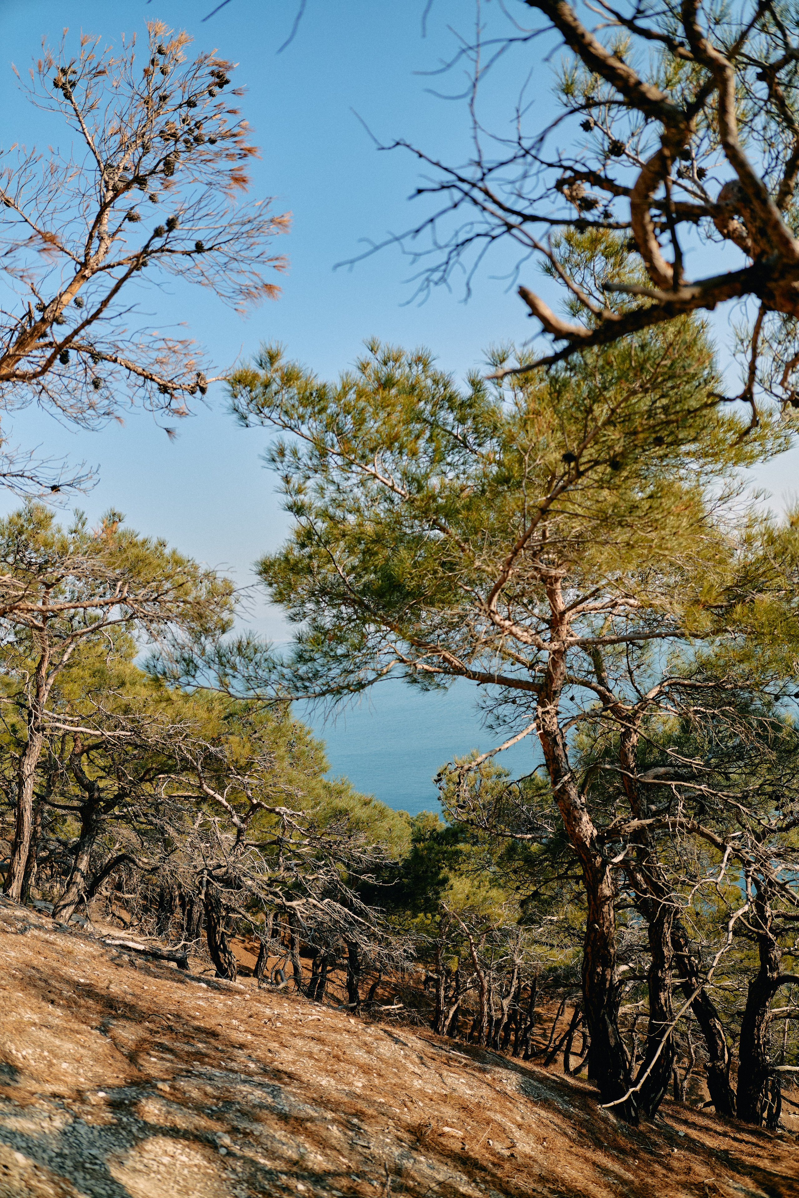 Юг России. Профессиональный Фотограф во Владимире, в Москве и в Суздале — Полина Романычева
