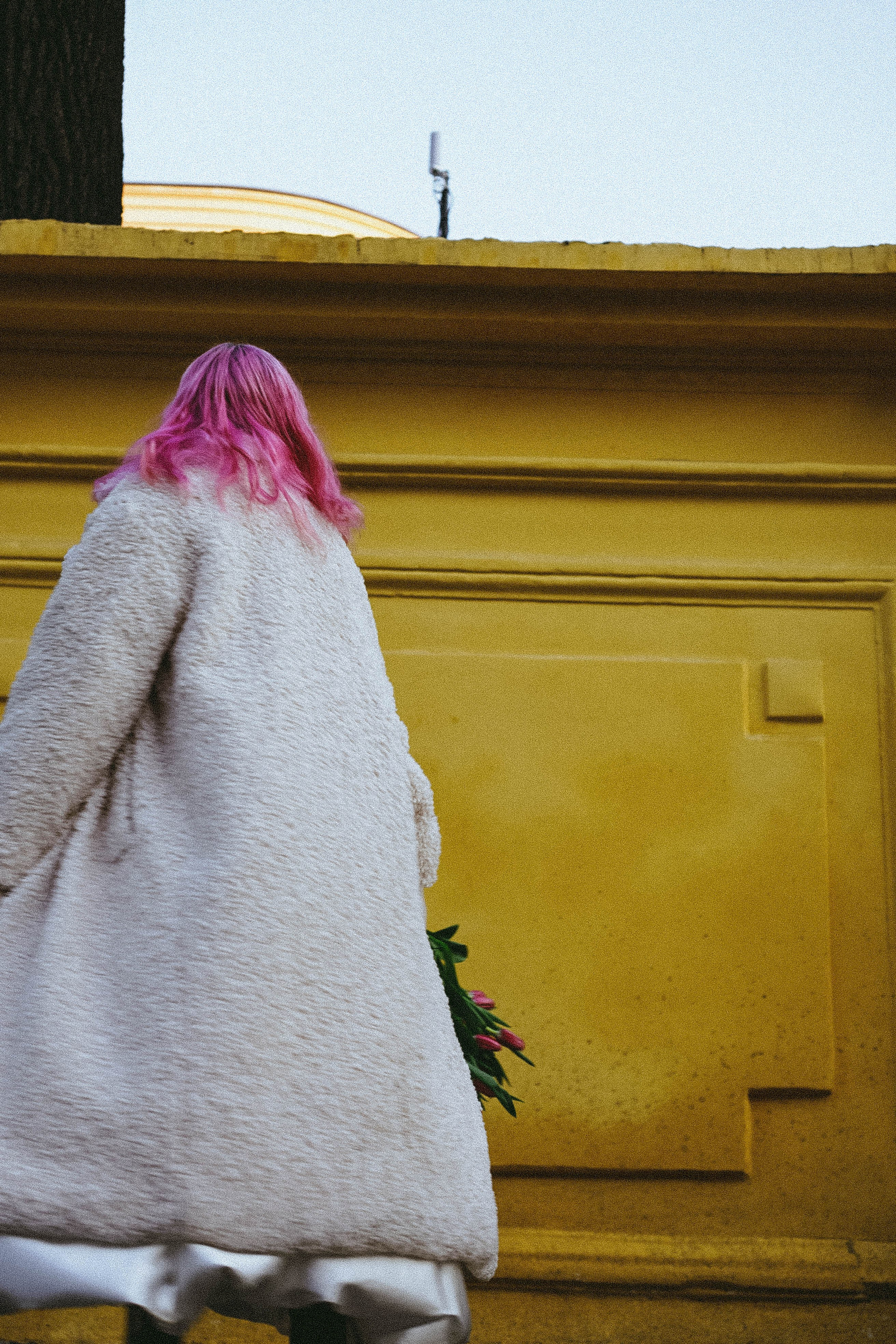 Прогулочная фотосессия с тюльпанами. Профессиональный фотограф, Санкт-Петербург — Виктория Богомолова