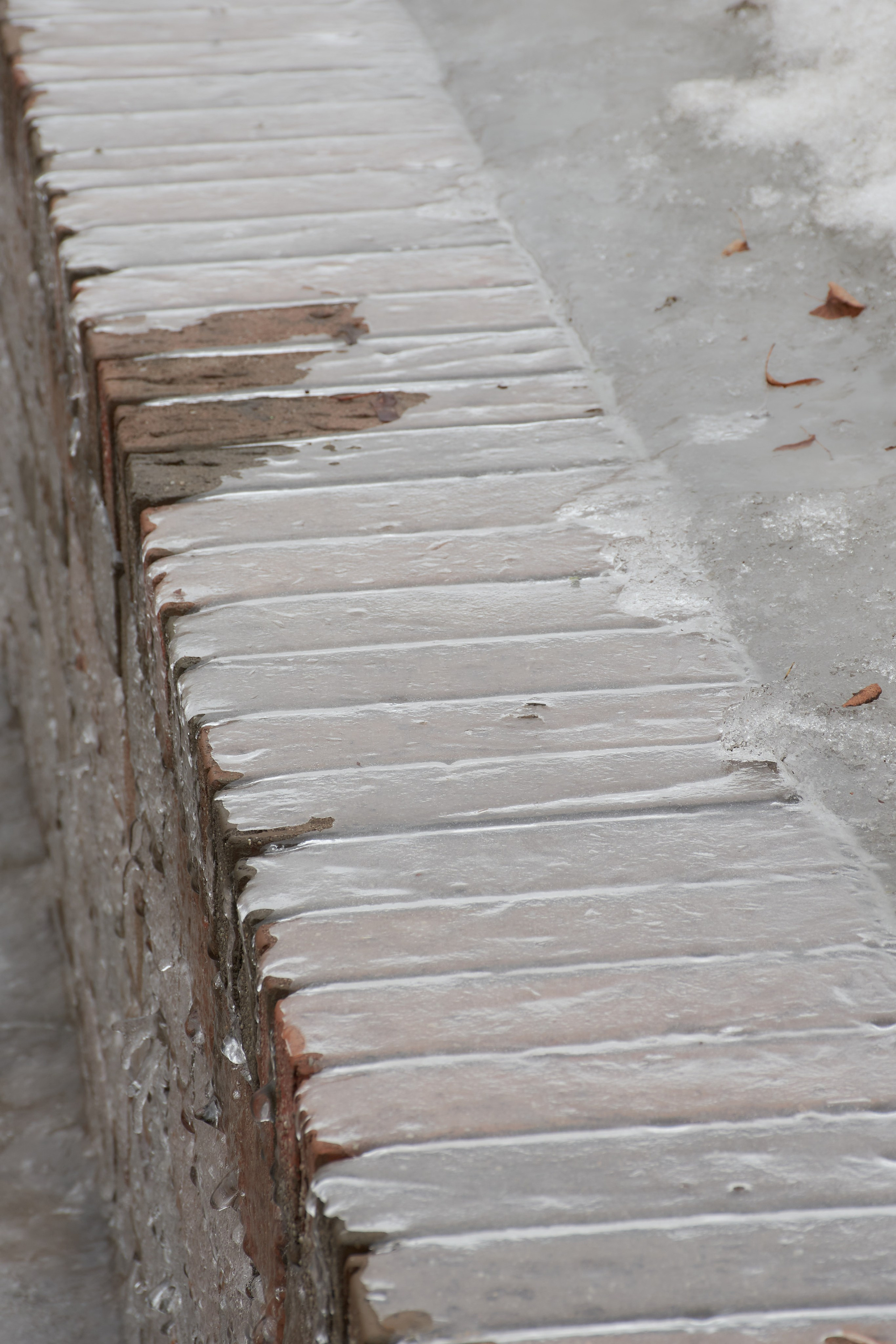 20210316-18 Тула. Дмитрий Ремизов. Фотография, как хобби