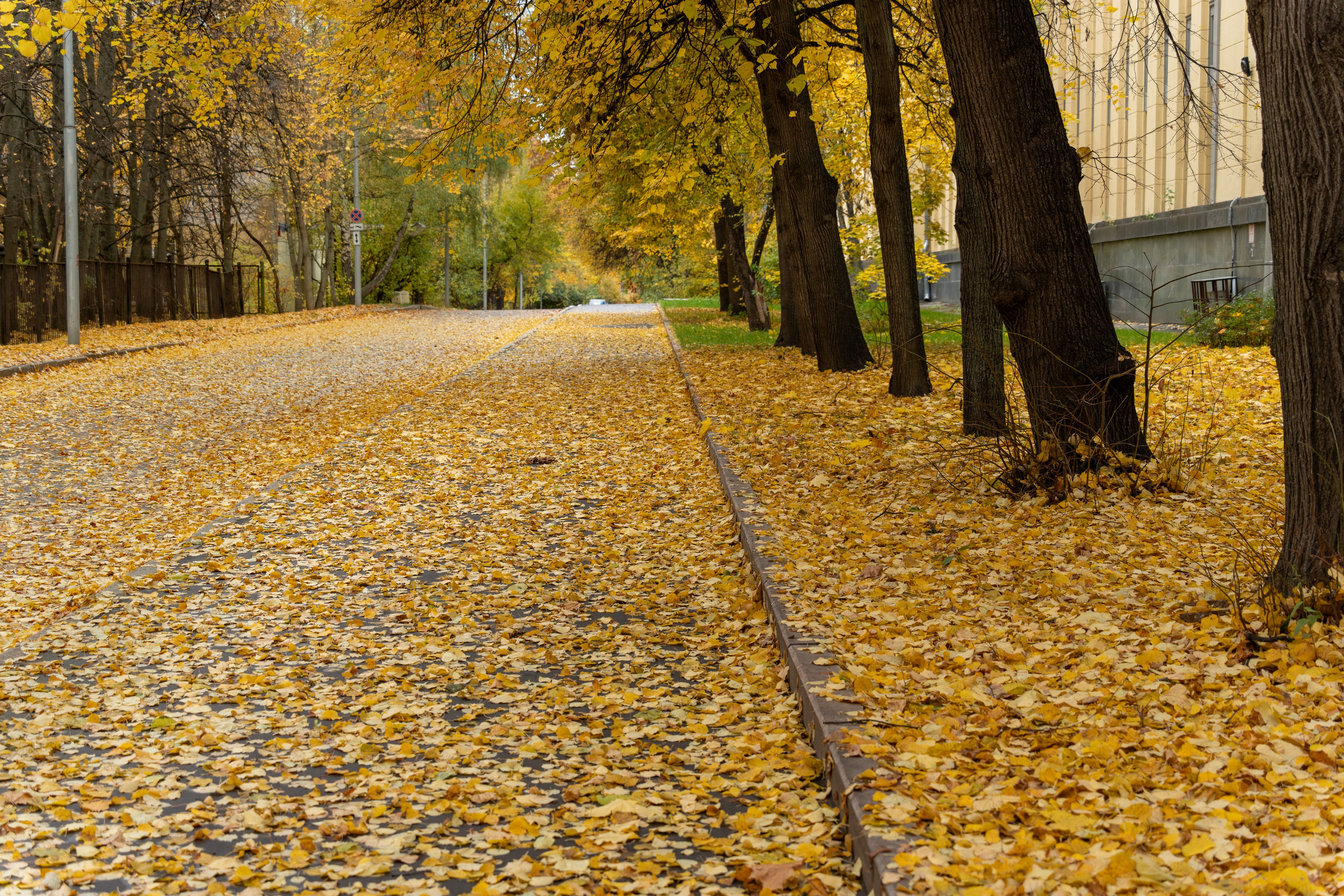 20251012 МГУ. Дмитрий Ремизов. Фотография, как хобби