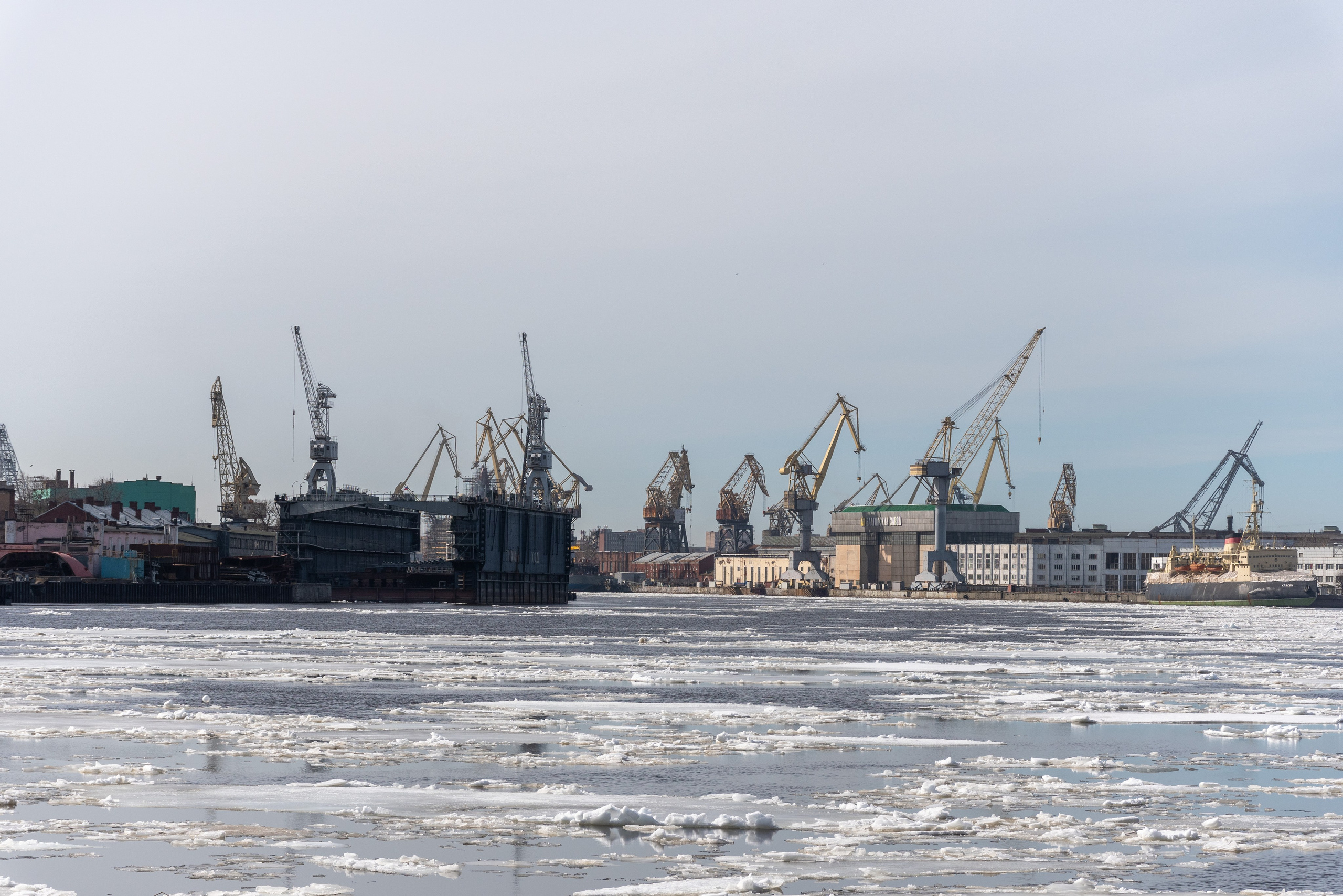 20220411-16 Санкт-Петербург. Дмитрий Ремизов. Фотография, как хобби