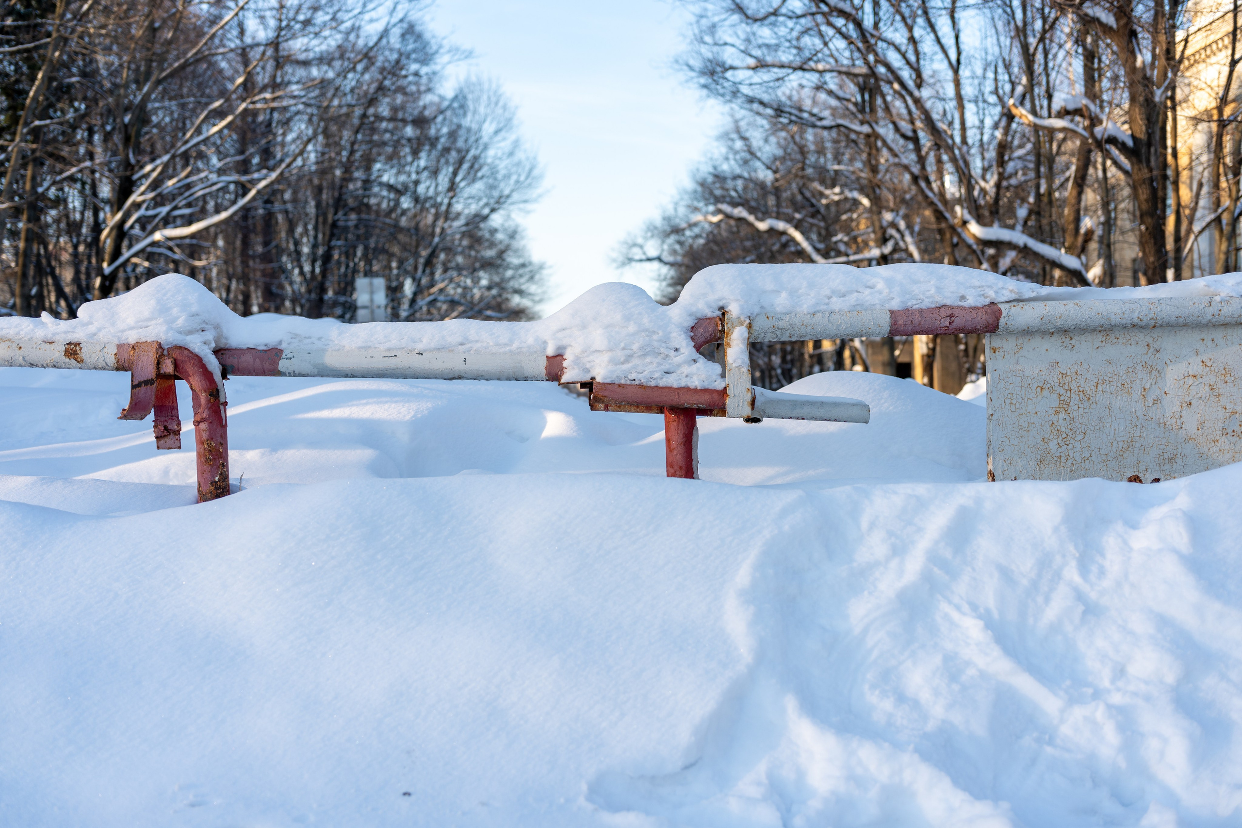 20260118 МГУ. Дмитрий Ремизов. Фотография, как хобби