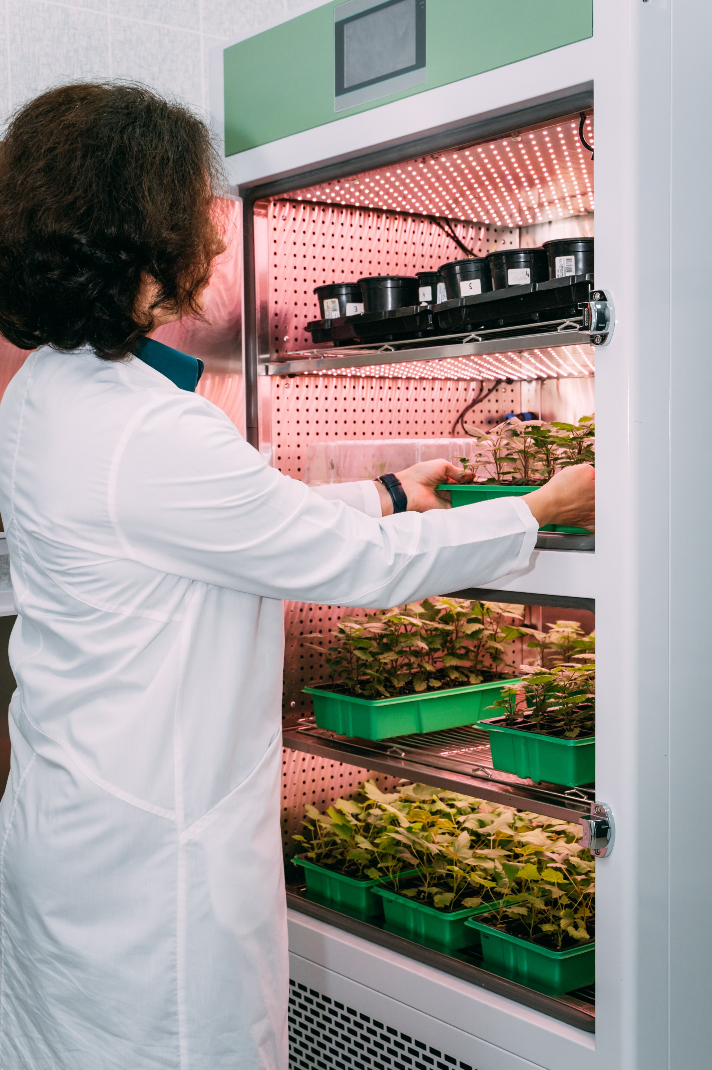 Международная конференция РАН