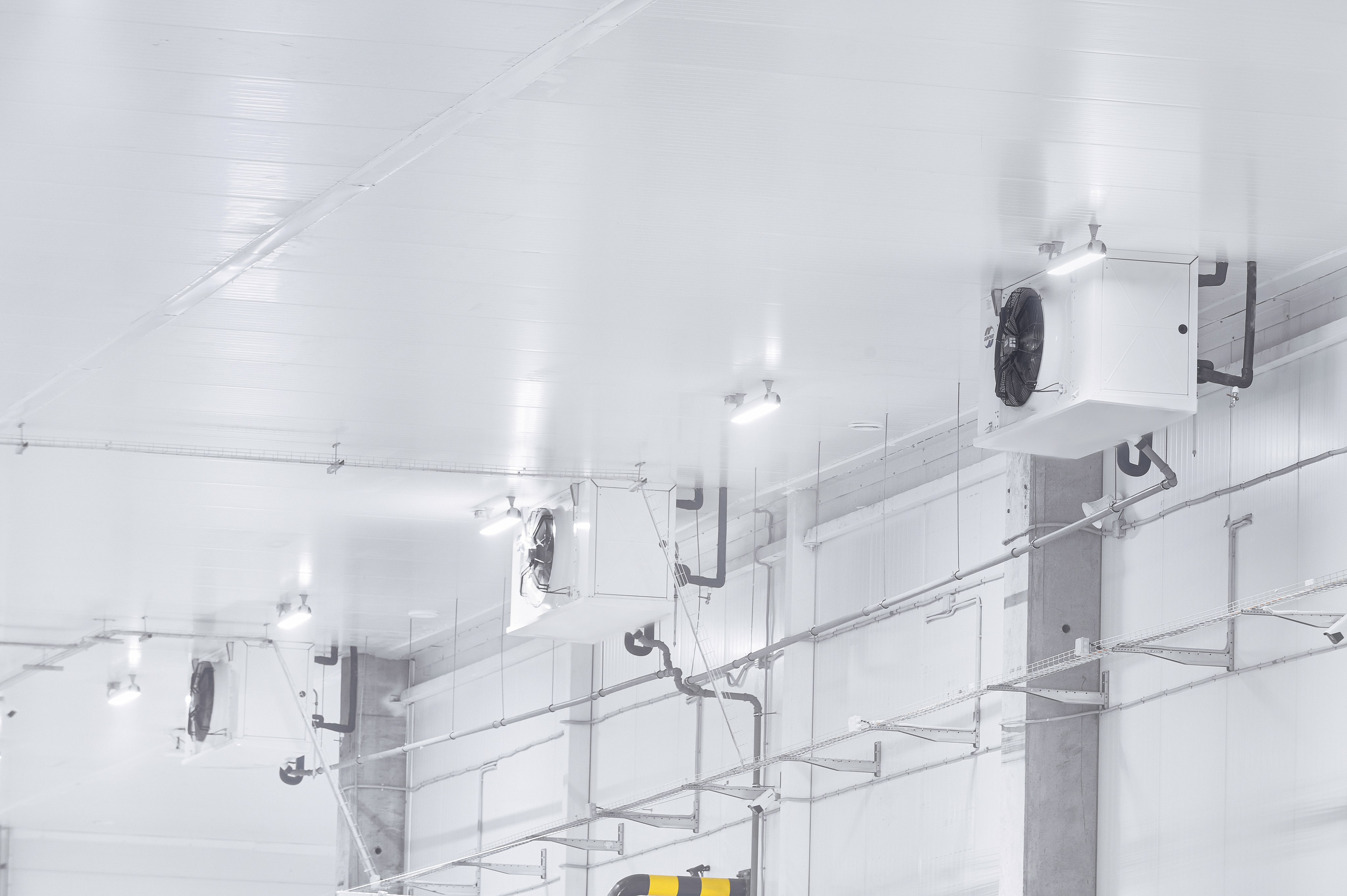 Ингениум — Инженерные системы. Фотограф Яковлев Роман — Красноярск