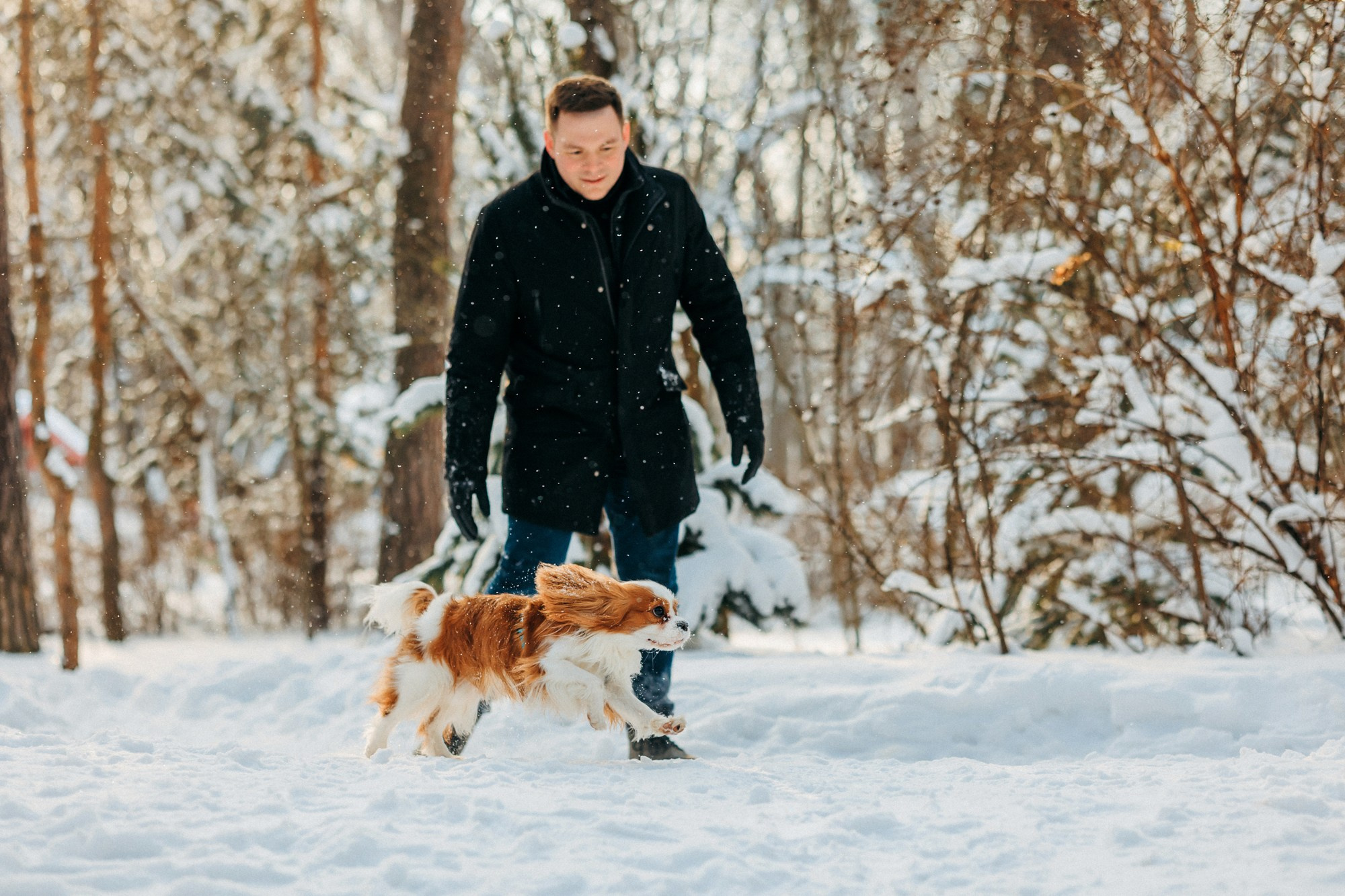 Юля, Илья и Майкл. Фотограф-анималист Елена Радченко, Москва