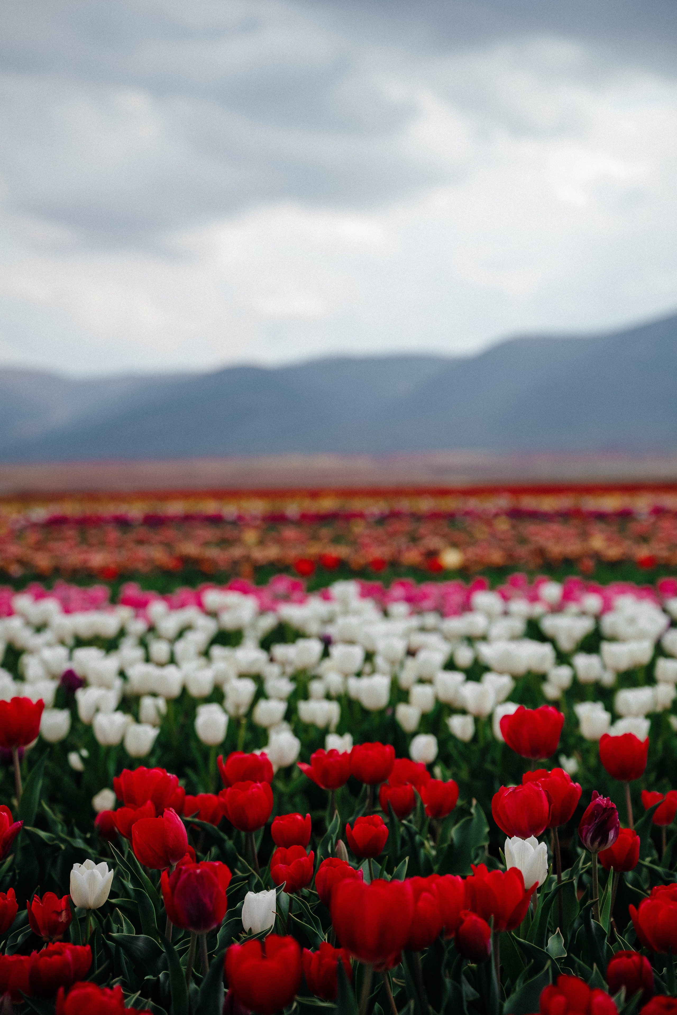 Адана. Анна Лобанова | фотограф