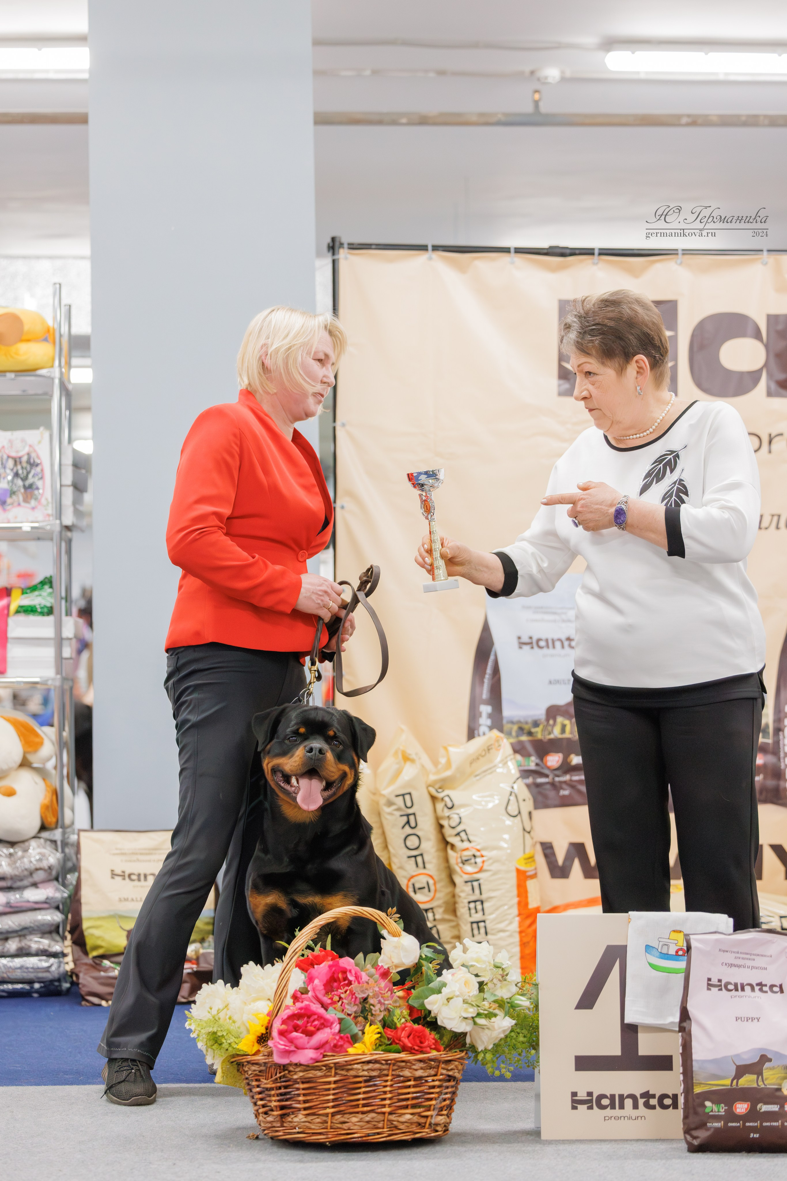 Сфера и Крокус 8,9,16 и 30.03.2025. Фотограф-анималист Юлия Германика