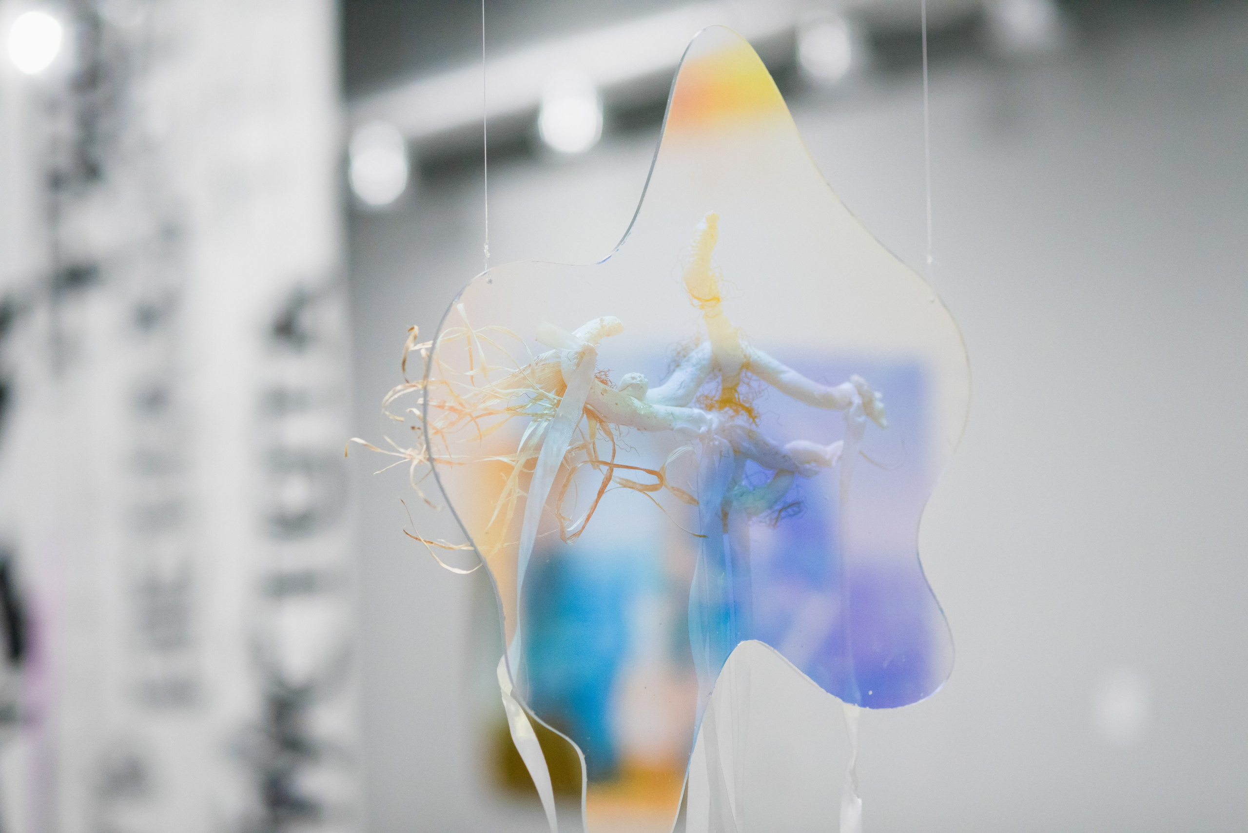 Выставки. Фотограф Руслан Хафизов