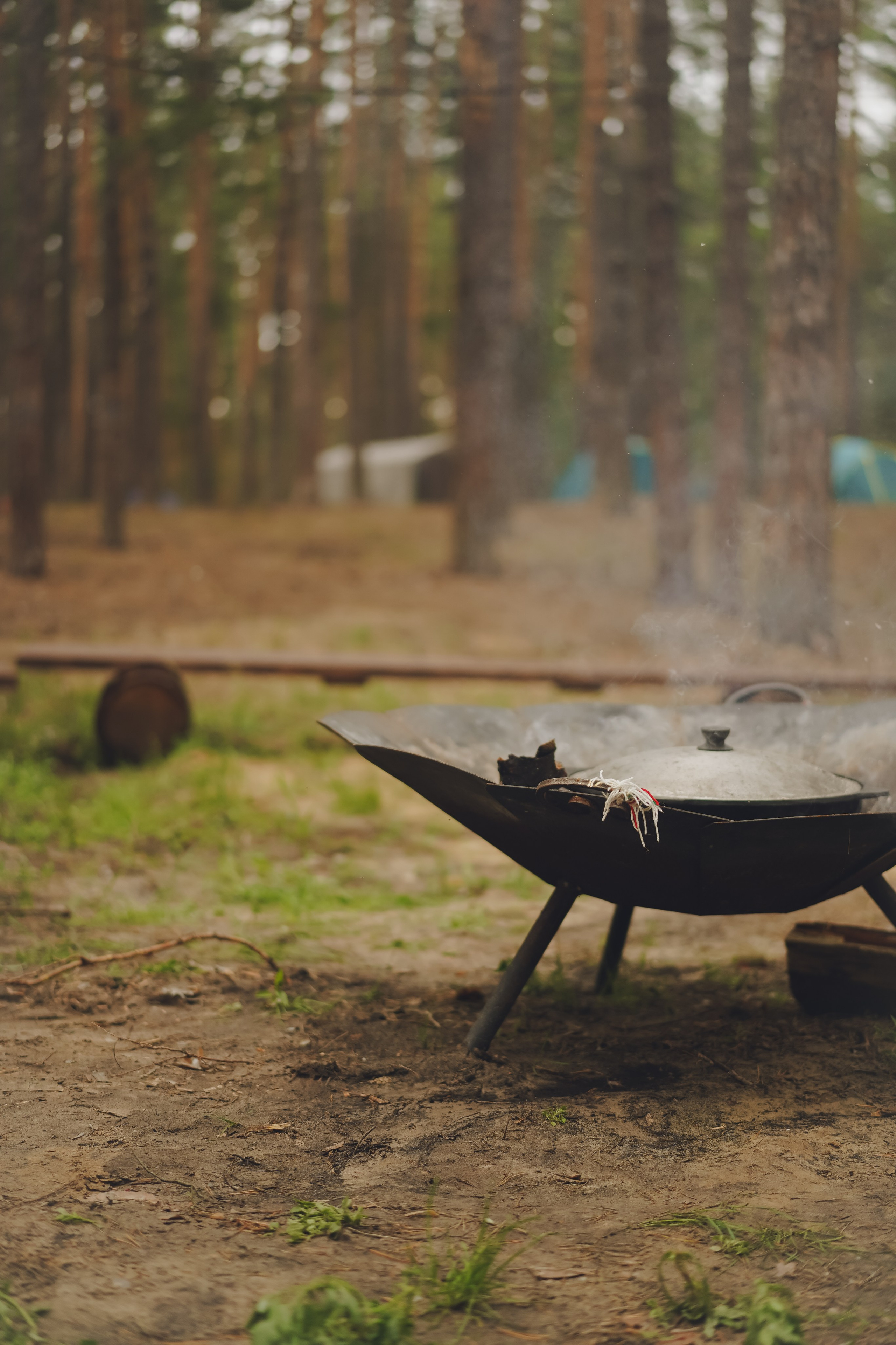 Палаточный форум CAMPot 2025. Фотограф Надежда Погребняк | Рязань | Москва