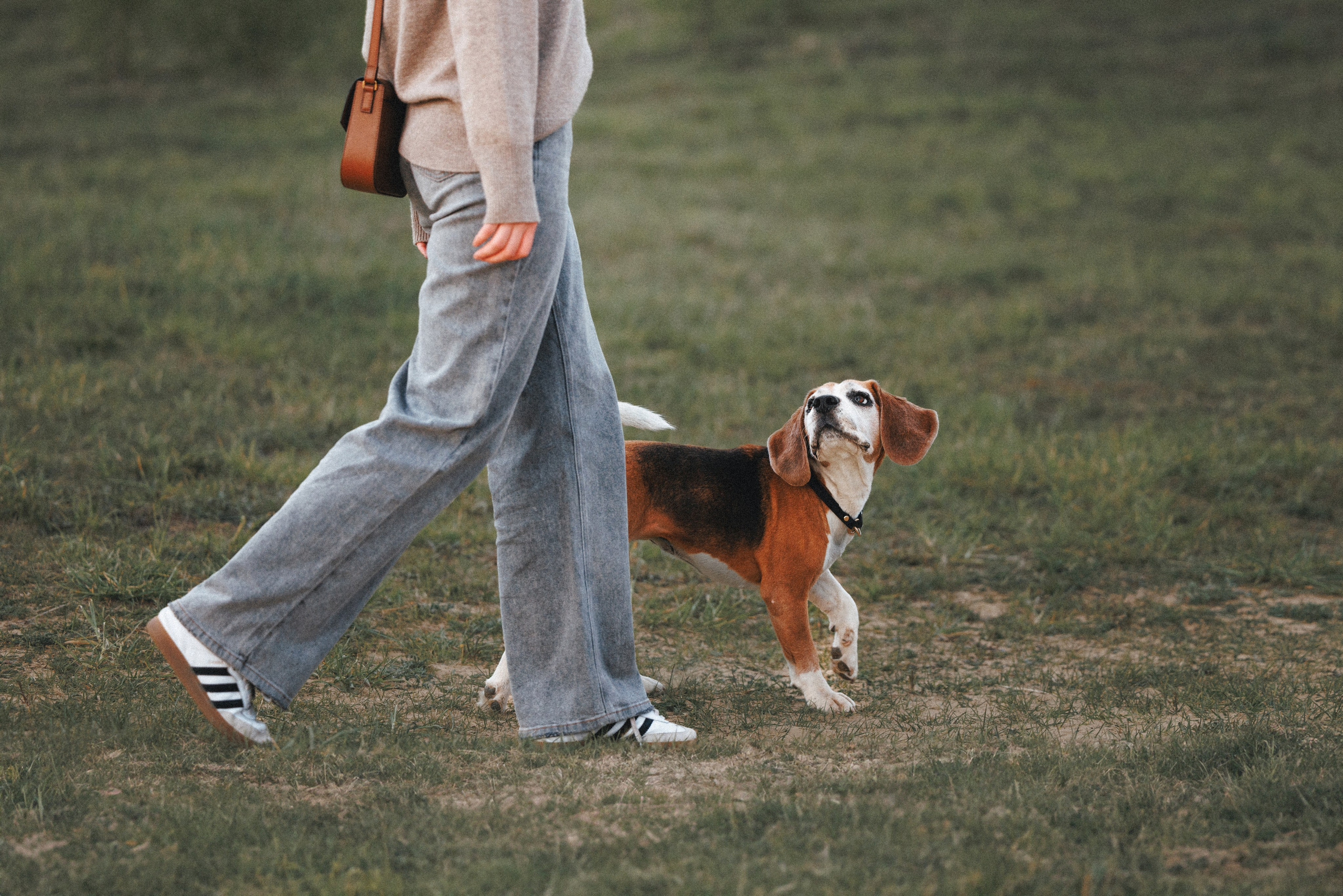 Юля и Зайфер. Фотограф анималист Осипчикова Мария