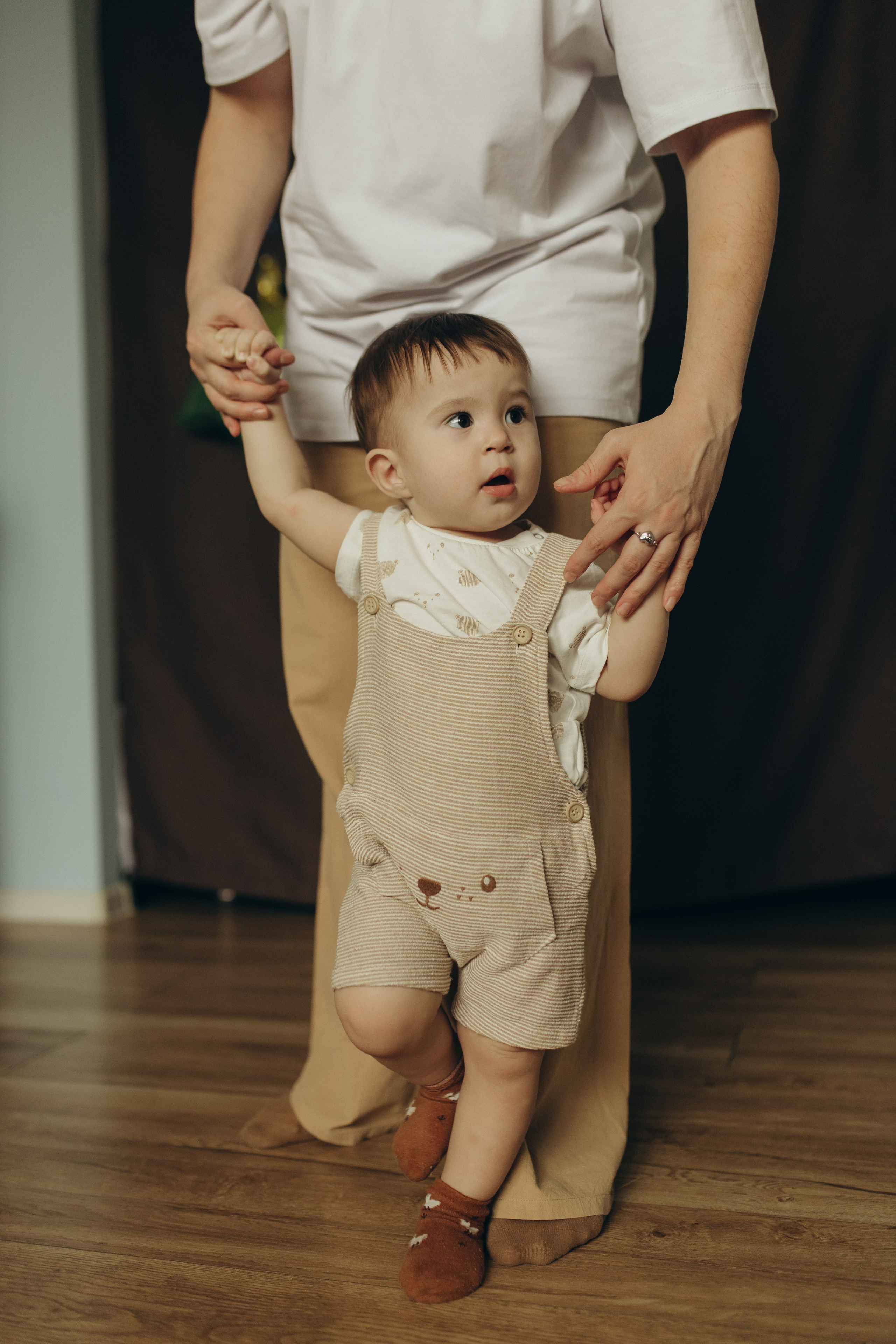 Домашняя история. Meryfotoidea