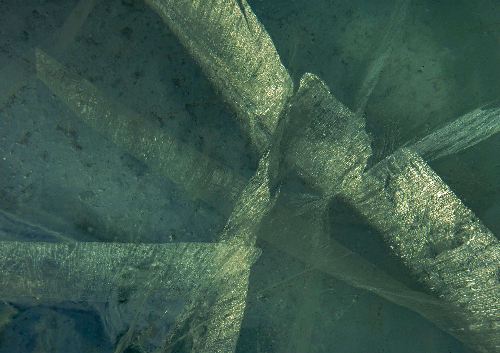 «Мы здесь». Фотограф Переверзева Наталья / Ханты-Мансийск