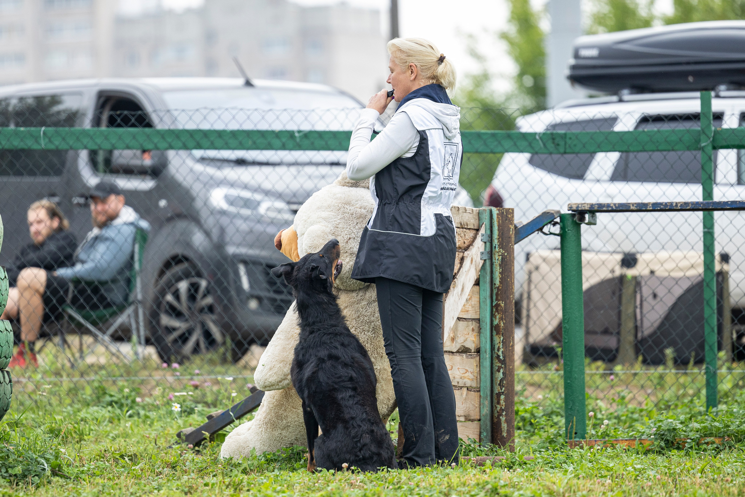 Соревнования по Мондьорингу г. Вологда 10-11.08.2024. Фотограф-анималист Анна Маринич