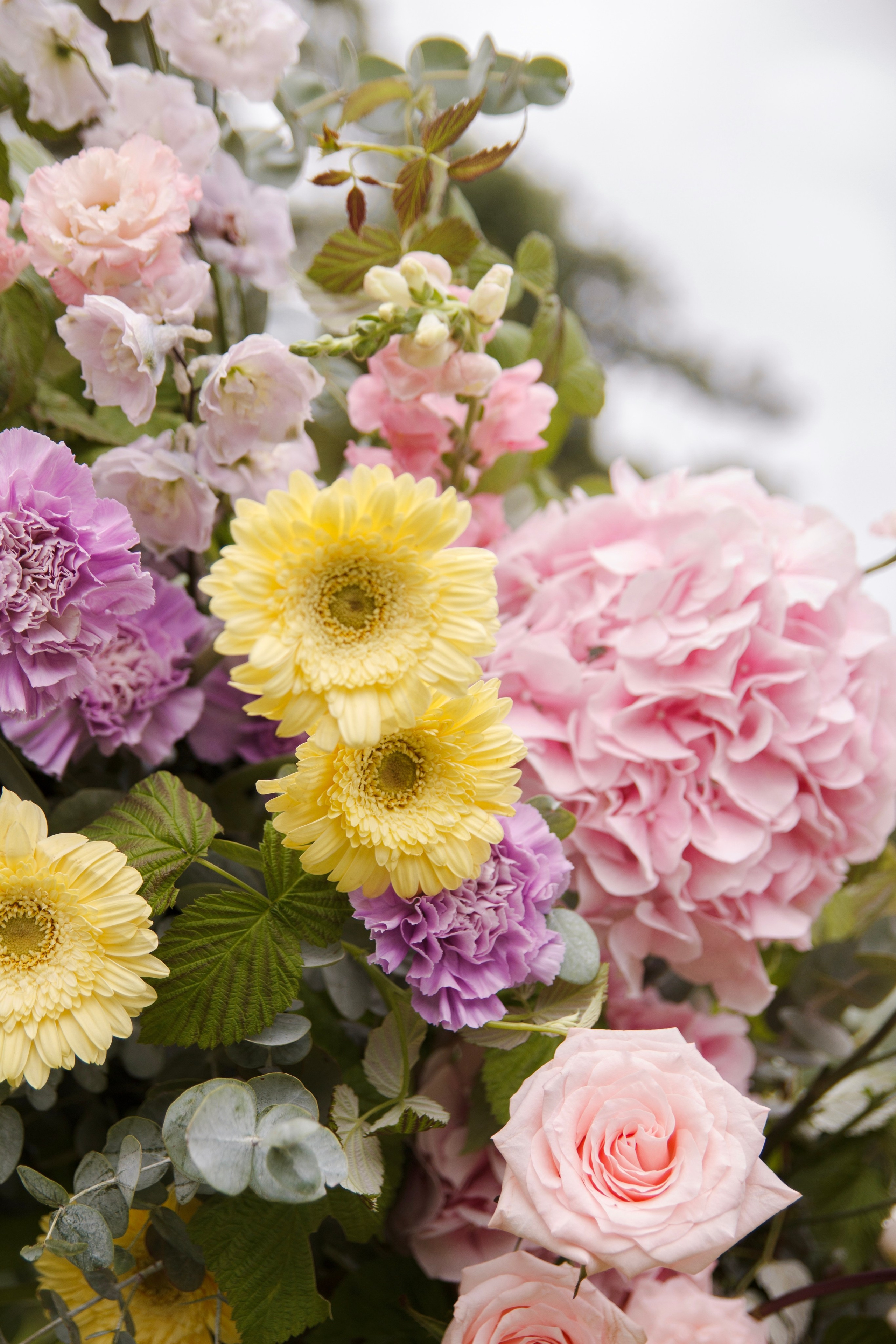 Дмитрий и Анастасия 2023. Ксения Почтарь. Декоратор и флорист, город Владивосток